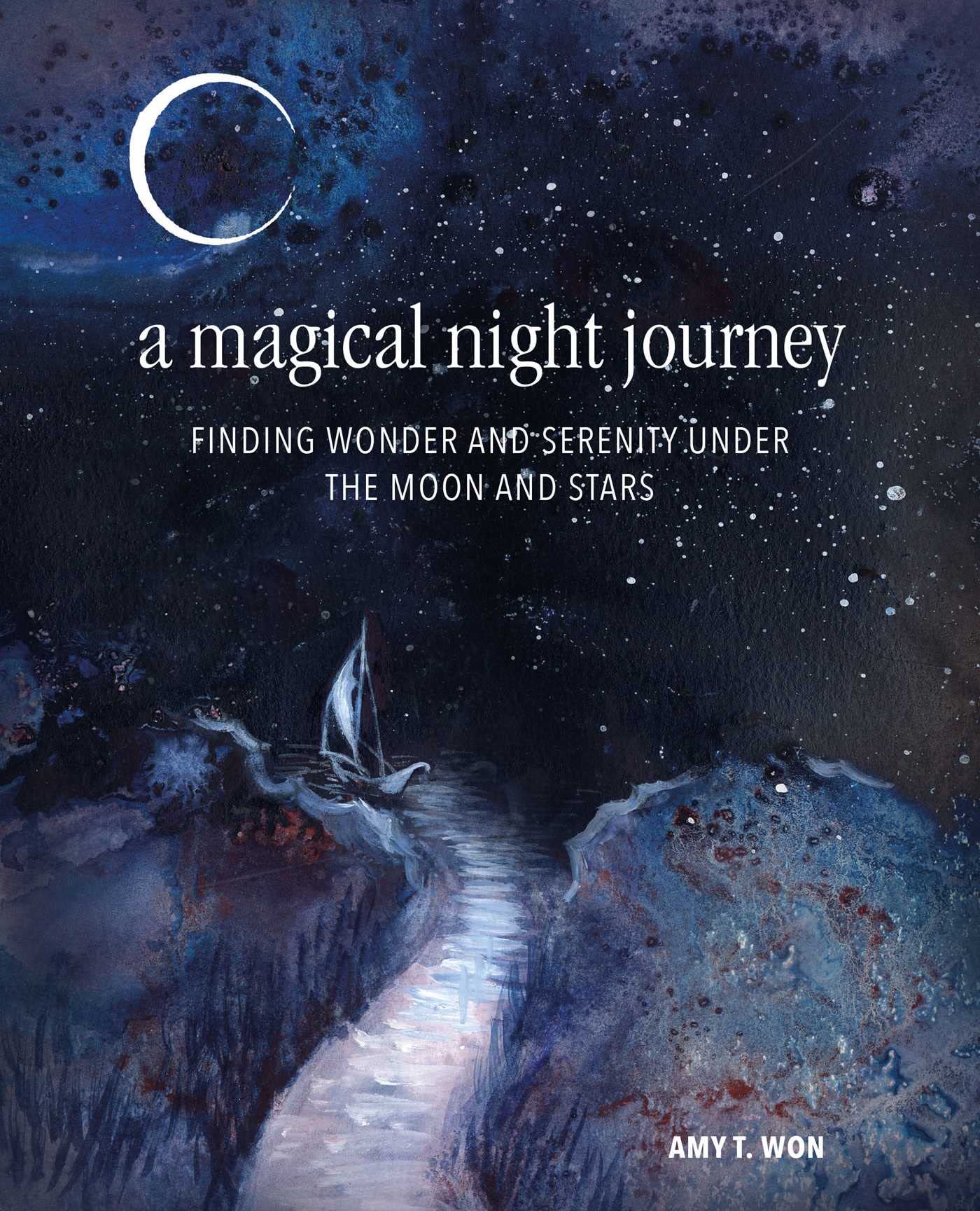 A Magical Night Journey Under the Moon and Stars: Finding Wonder and Serenity: Finding Wonder and Serenity Under the Moon and Stars Business, Finance & Career