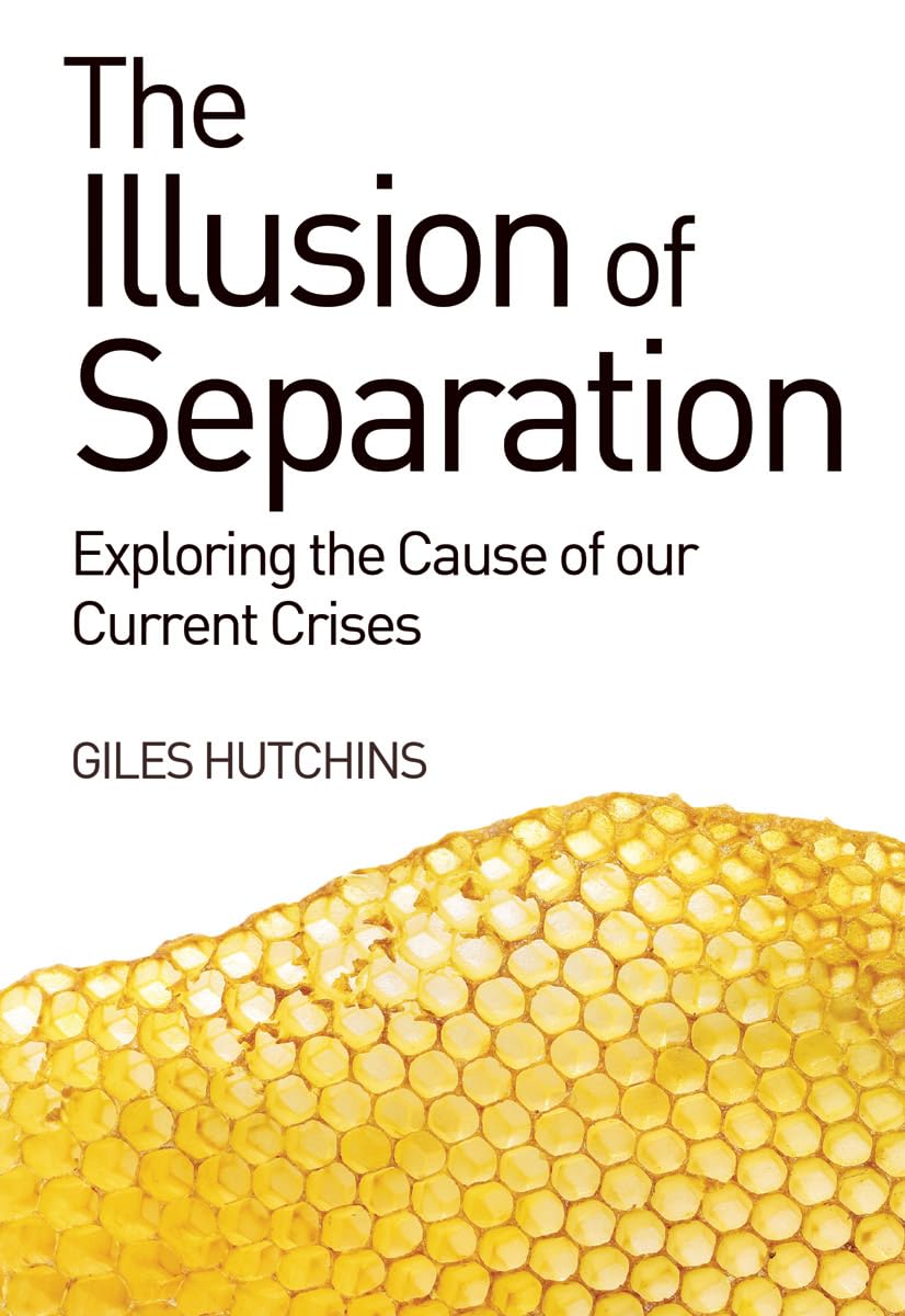 The Illusion of Separation Business, Finance & Career
