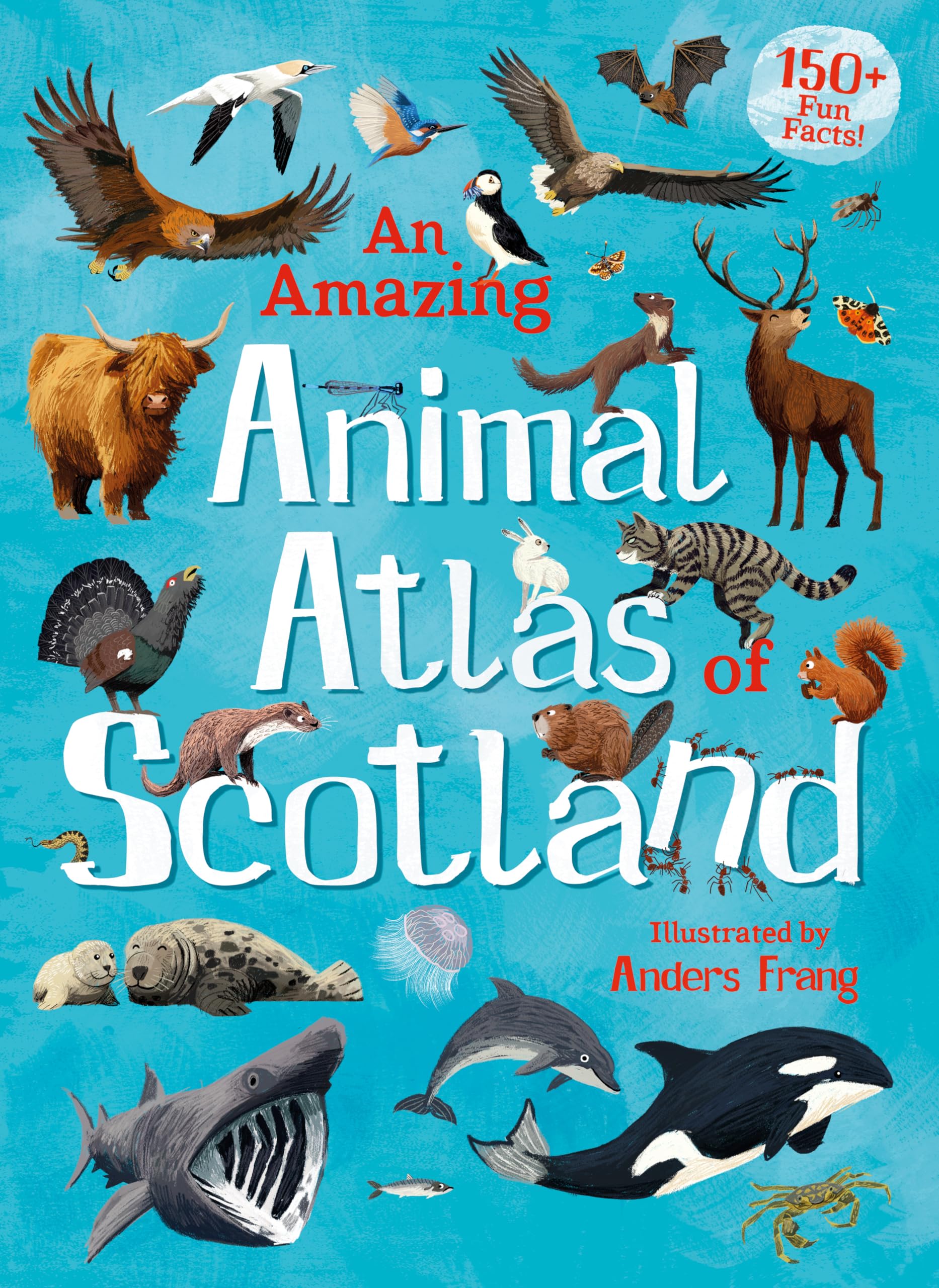 An Amazing Animal Atlas of Scotland (Amazing Atlas) Natural Sciences