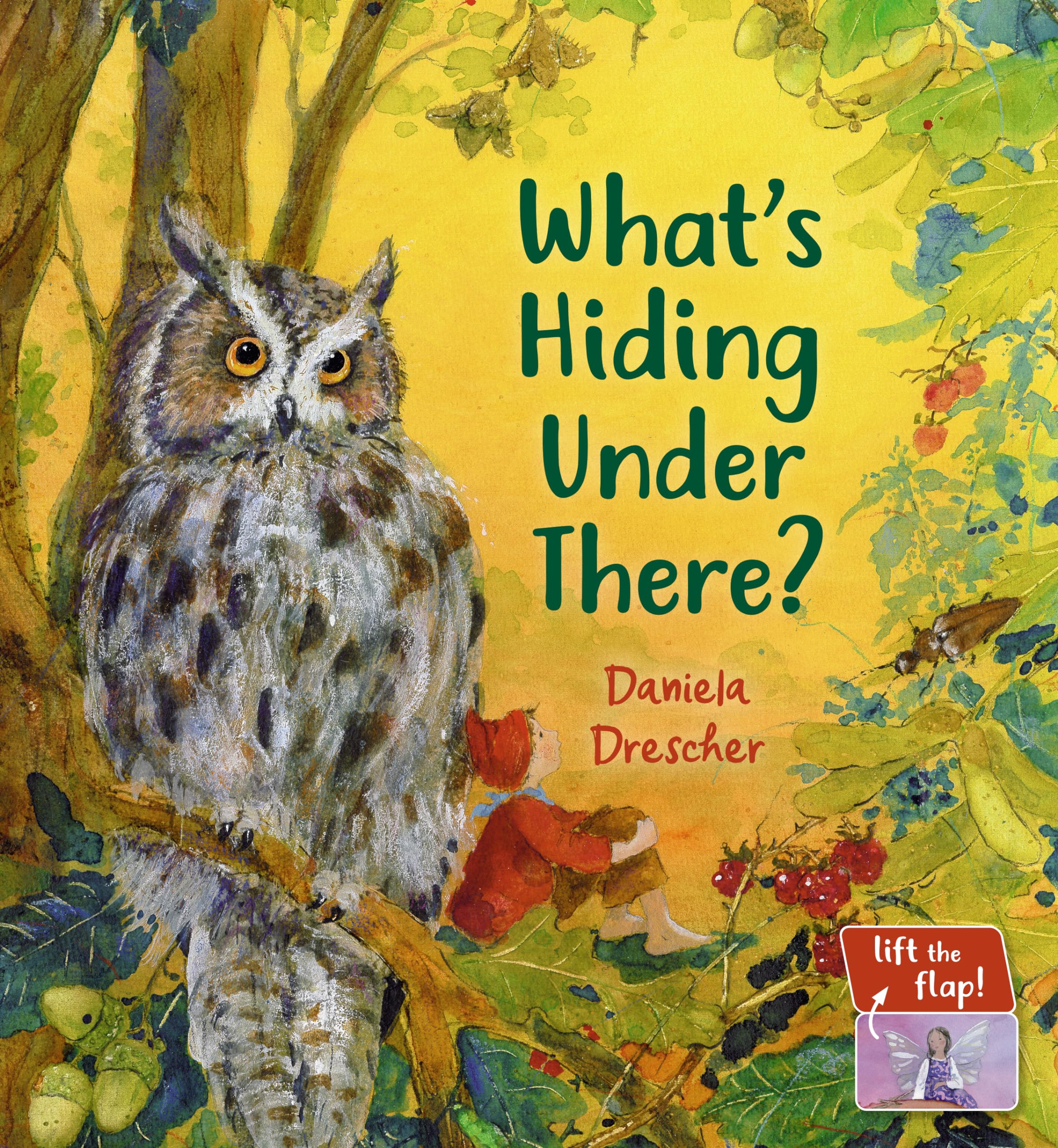 What's Hiding Under There?: A Magical Lift-the-flap Book (Daniela Drescher Favorite Characters) Non-fiction