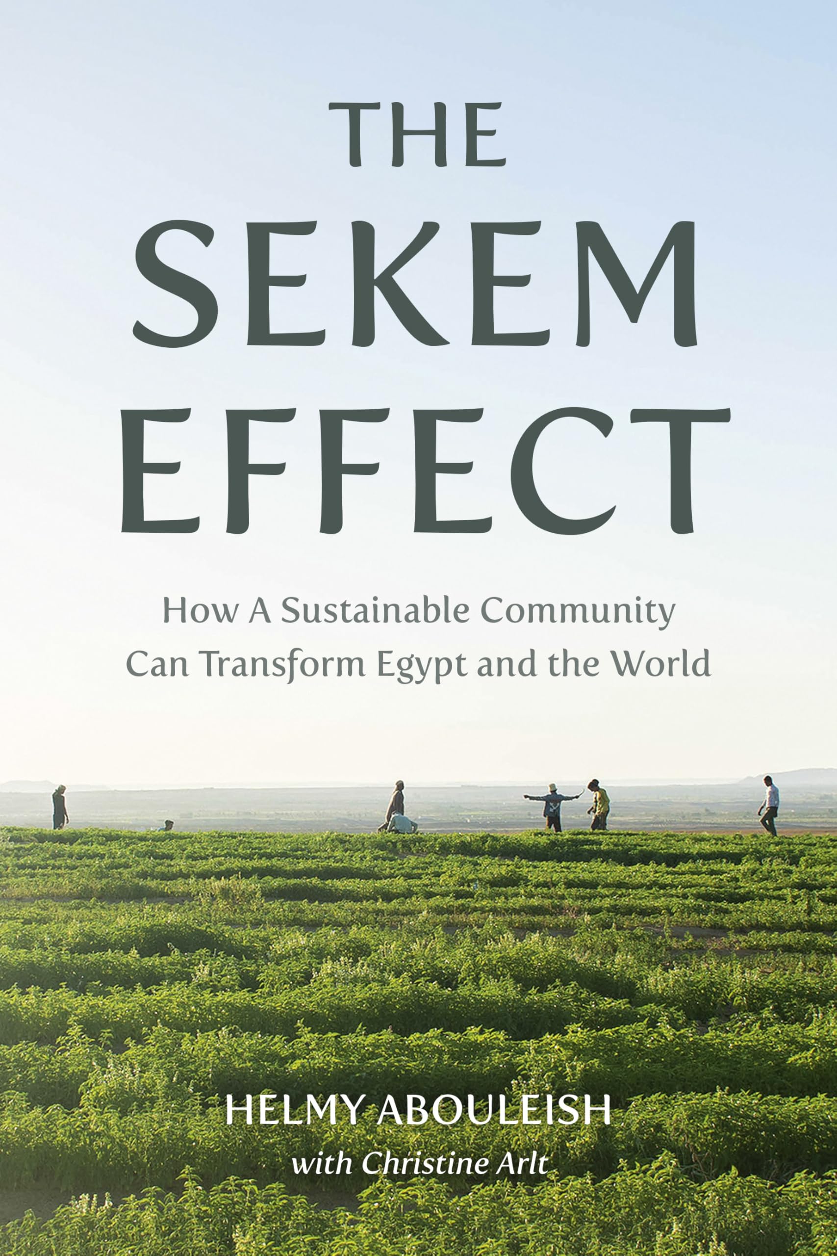 The Sekem Effect: How a Sustainable Community Can Transform Egypt and the World Social Sciences