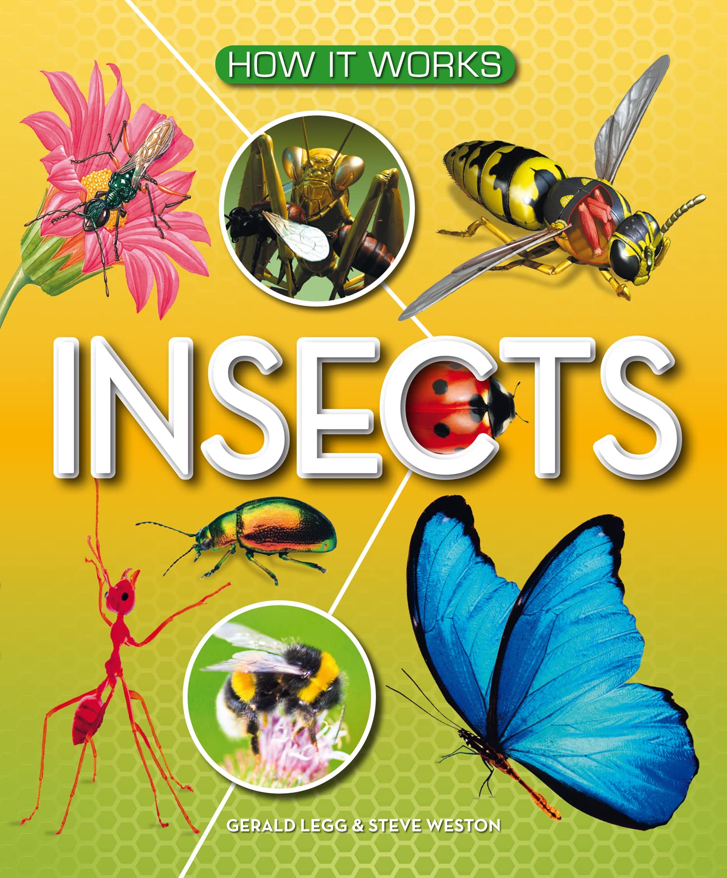 How It Works: Insects Non-fiction