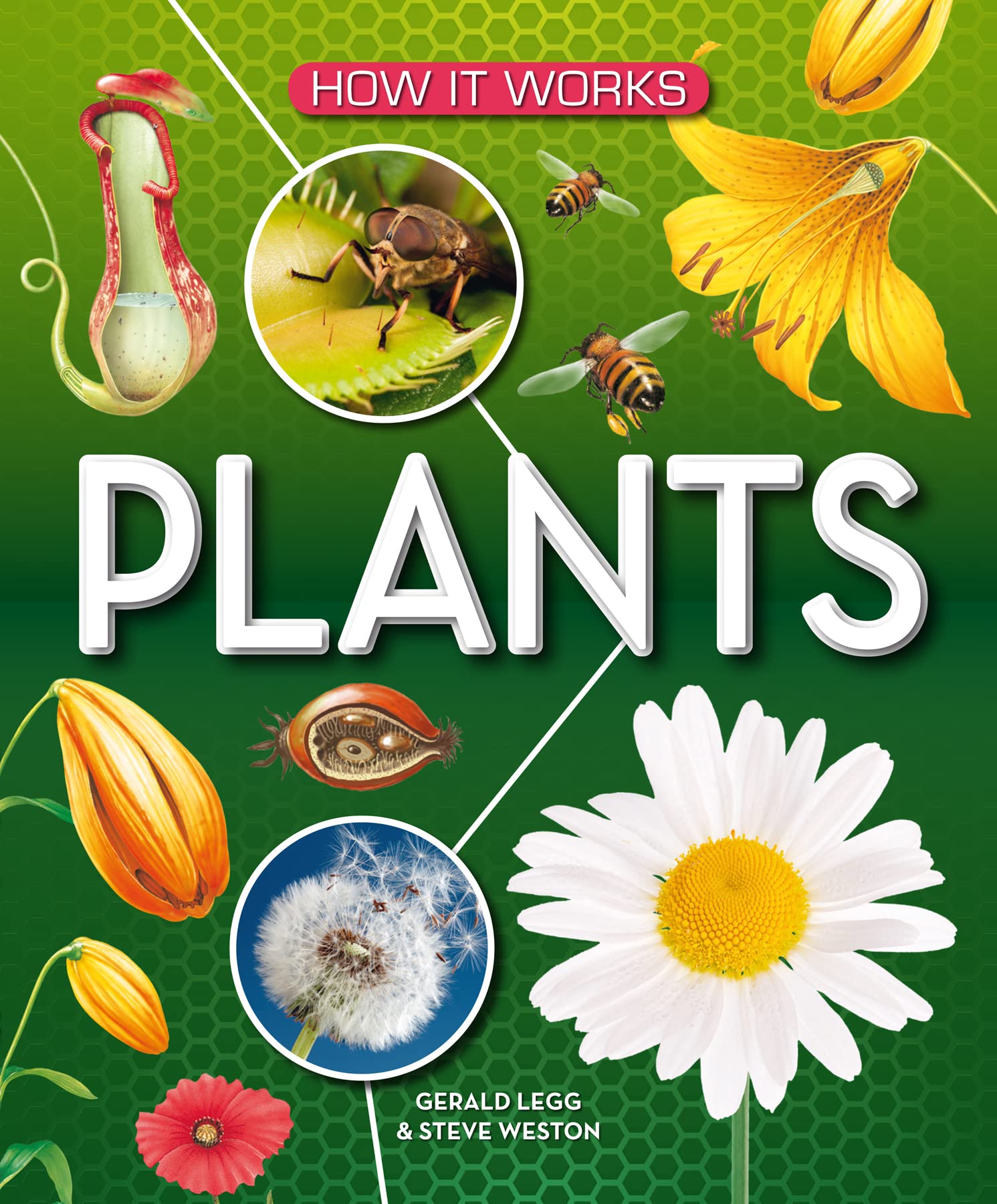 Product Image: How It Works: Plants