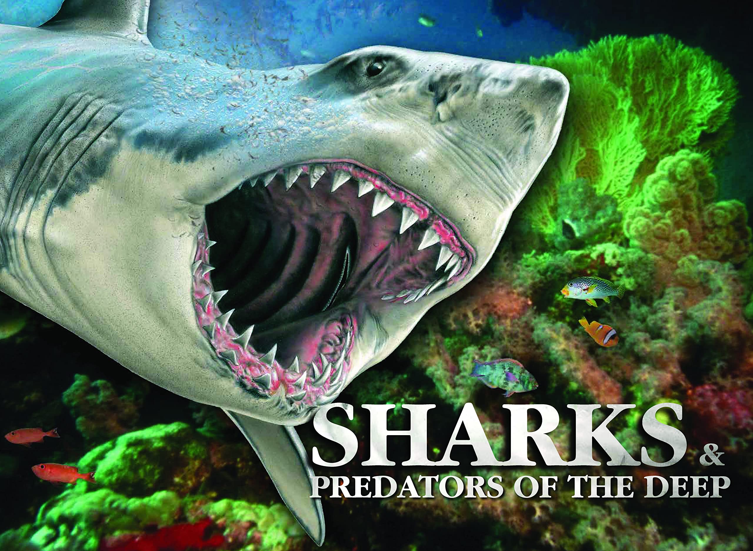 Sharks & Predators of the Deep (Young Adult) Mathematics