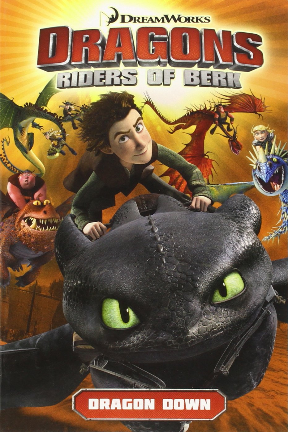 DreamWorks' Dragons: Dragon Down (Dragons Riders of Berk, Band 1) Manga