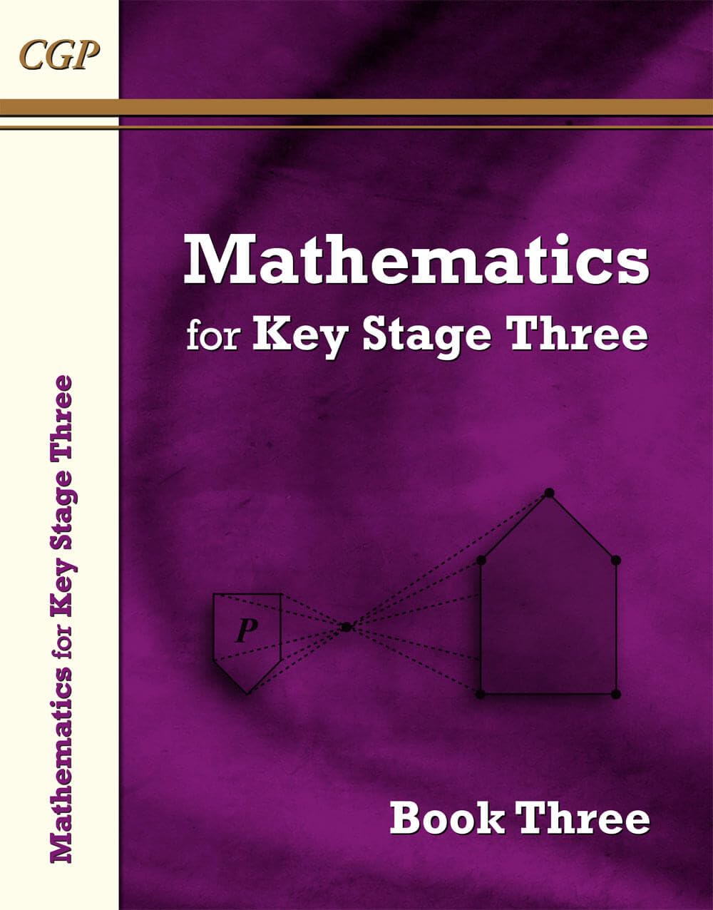 KS3 Maths Textbook 3 book