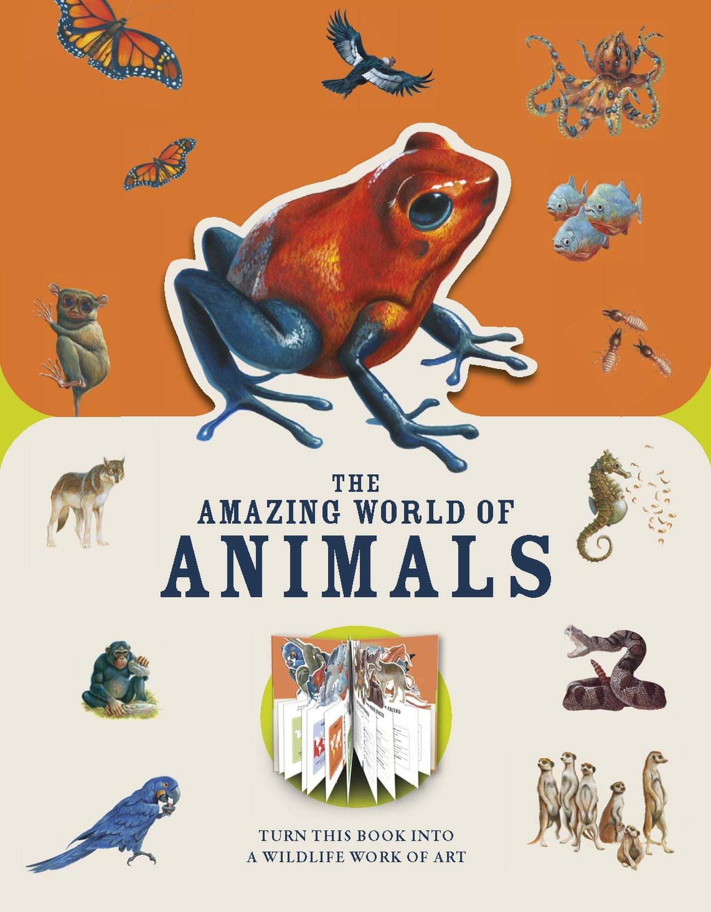 Paperscapes: The Amazing World of Animals Tiptoi & Games