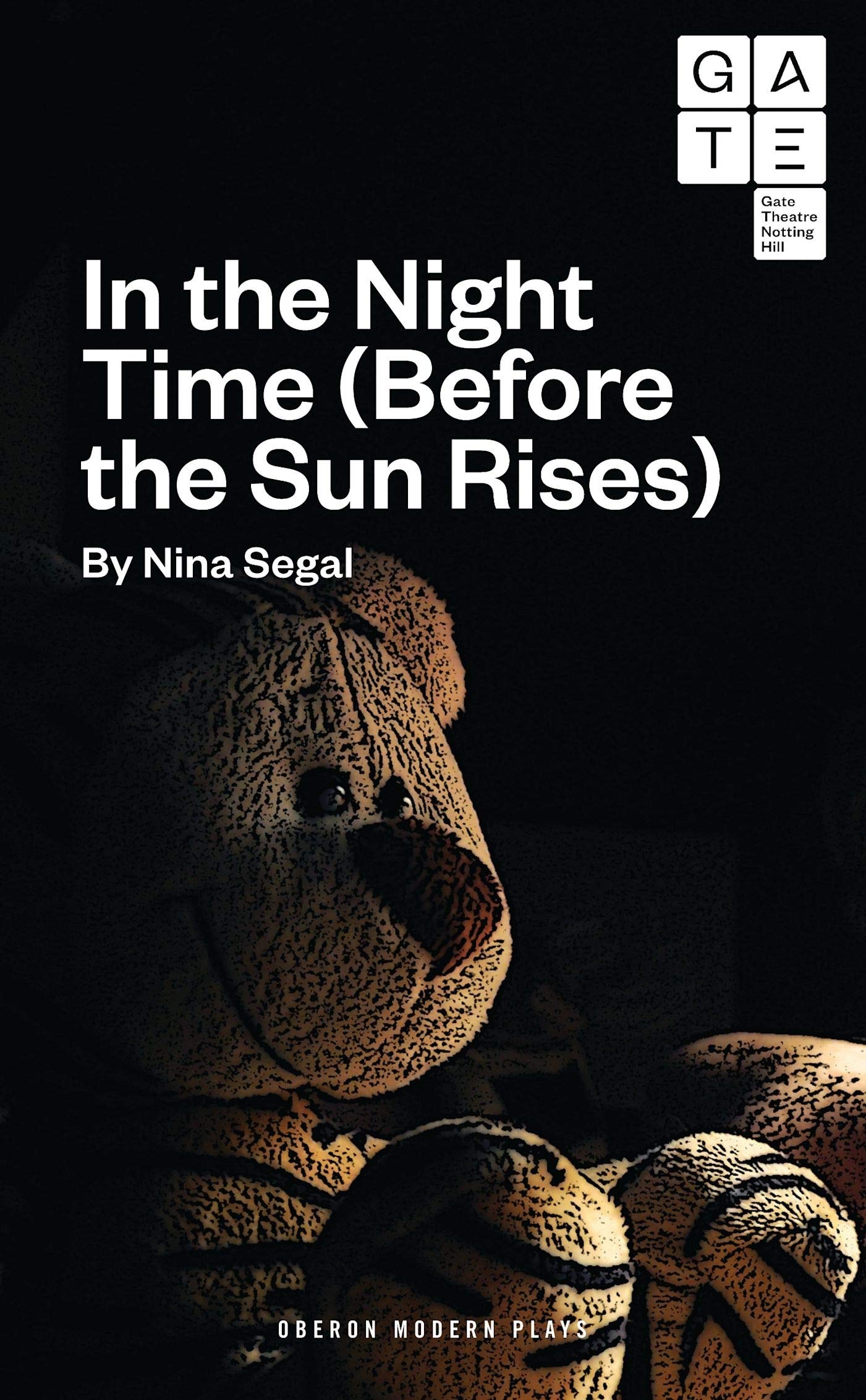 In the Night Time (Before the Sun Rises) book