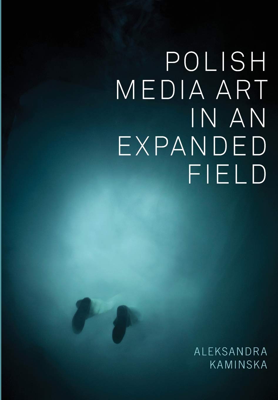 Polish Media Art in an Expanded Field Media & Communication