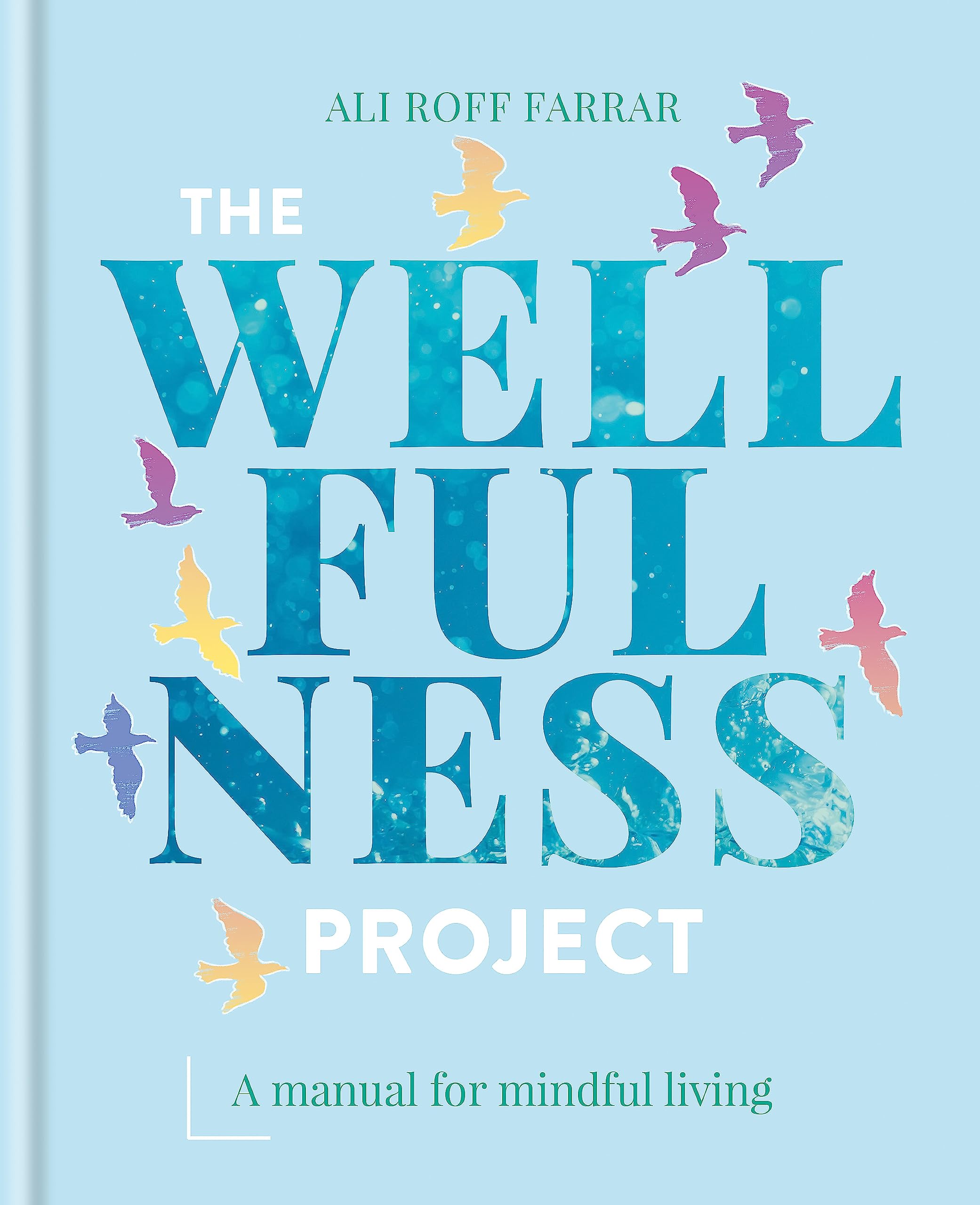 The Wellfulness Project: A Manual for Mindful Living Lifestyle