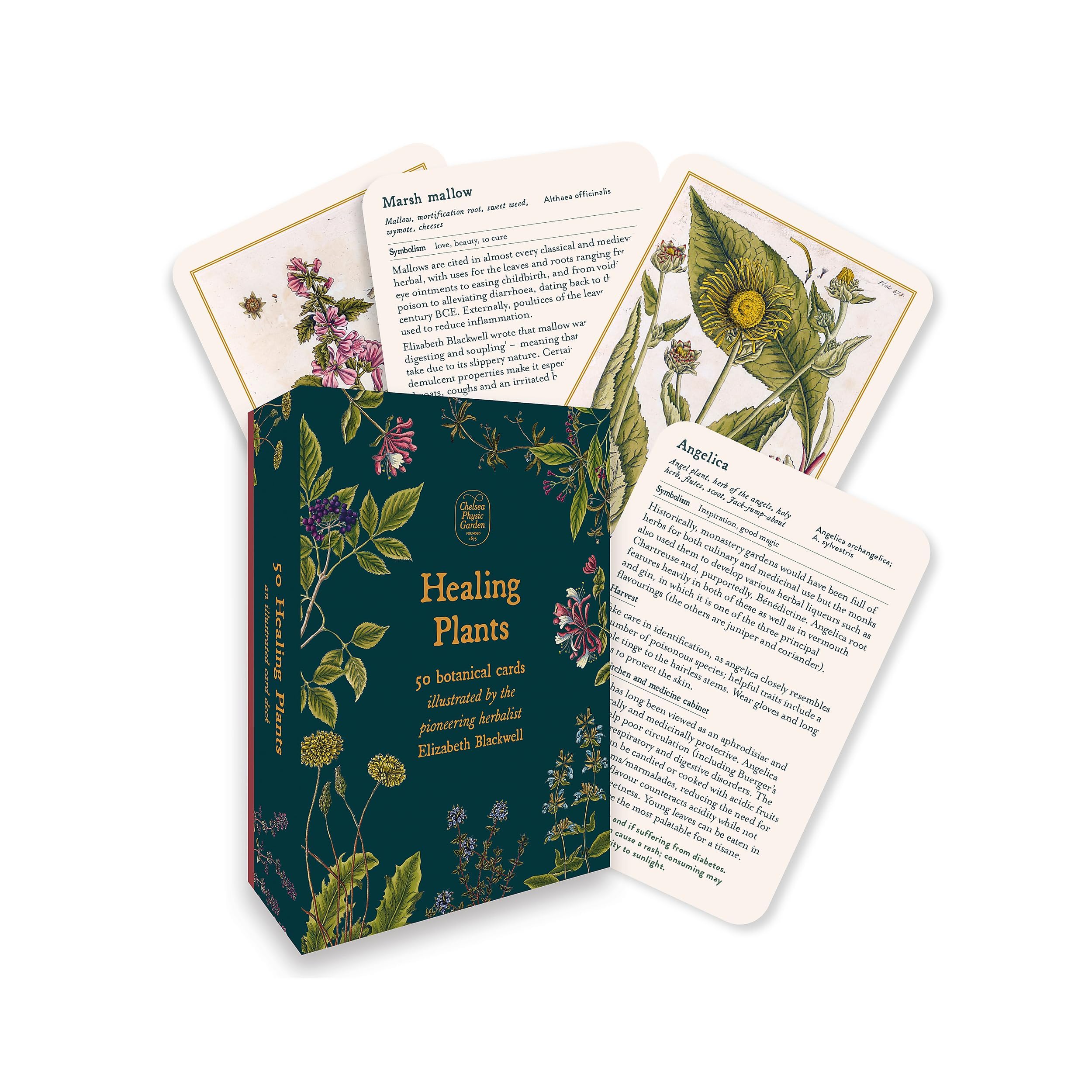 Healing Plants - A Botanical Card Deck: 50 botanical cards illustrated by the pioneering herbalist Elizabeth Blackwell (Pyramid Paperbacks) Mathematics