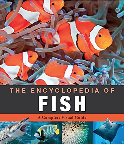 Encyclopedia of Animals Fish Reference Books