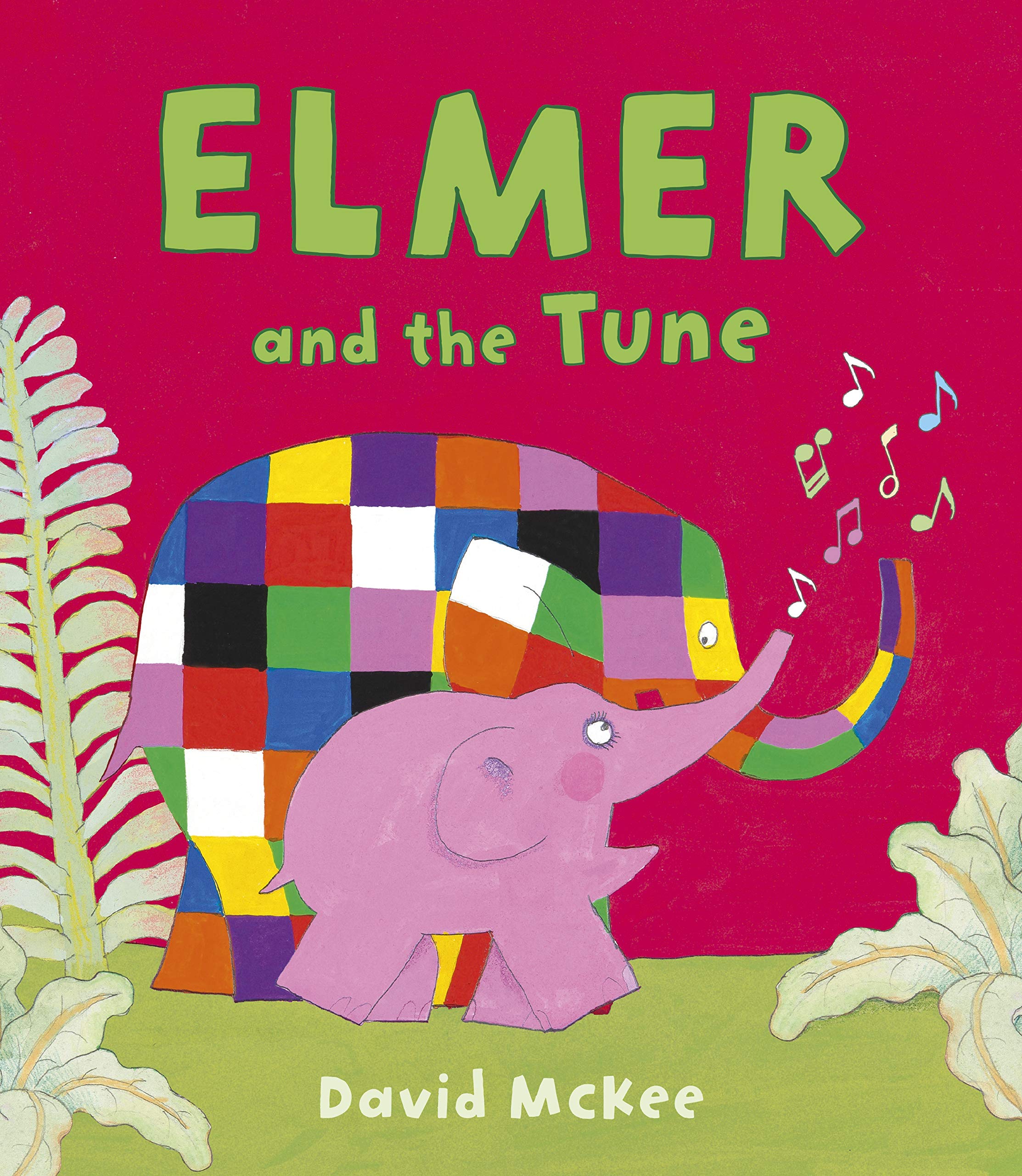 Elmer and the Tune (Elmer Picture Books) Non-fiction