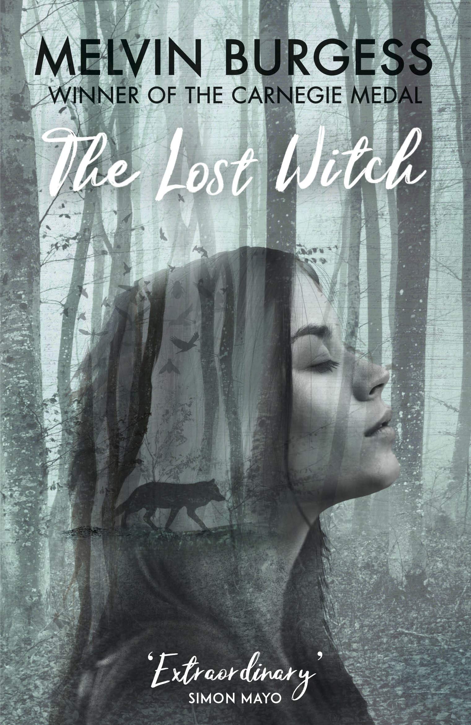 Product Image: The Lost Witch