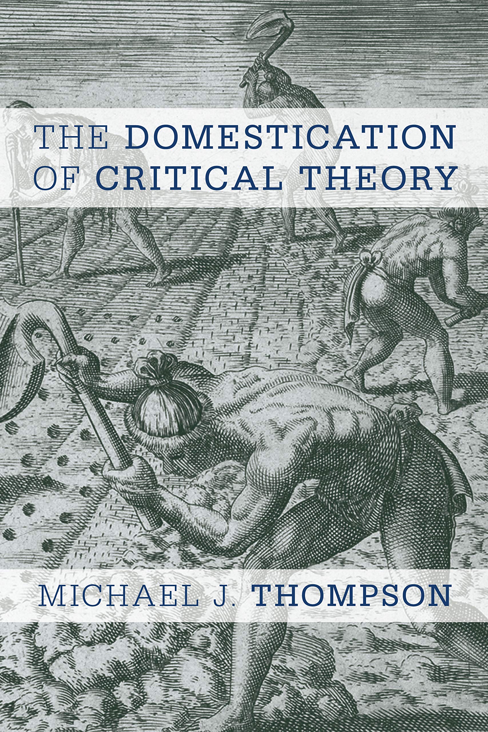 The Domestication of Critical Theory book