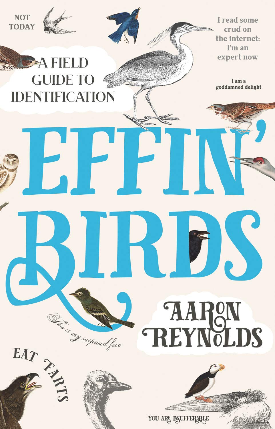 Product Image: Effin' Birds: A Field Guide to Identification