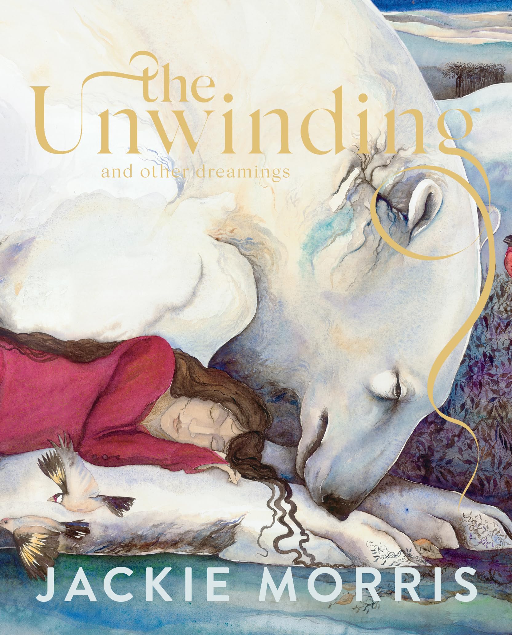 Product Image: The Unwinding