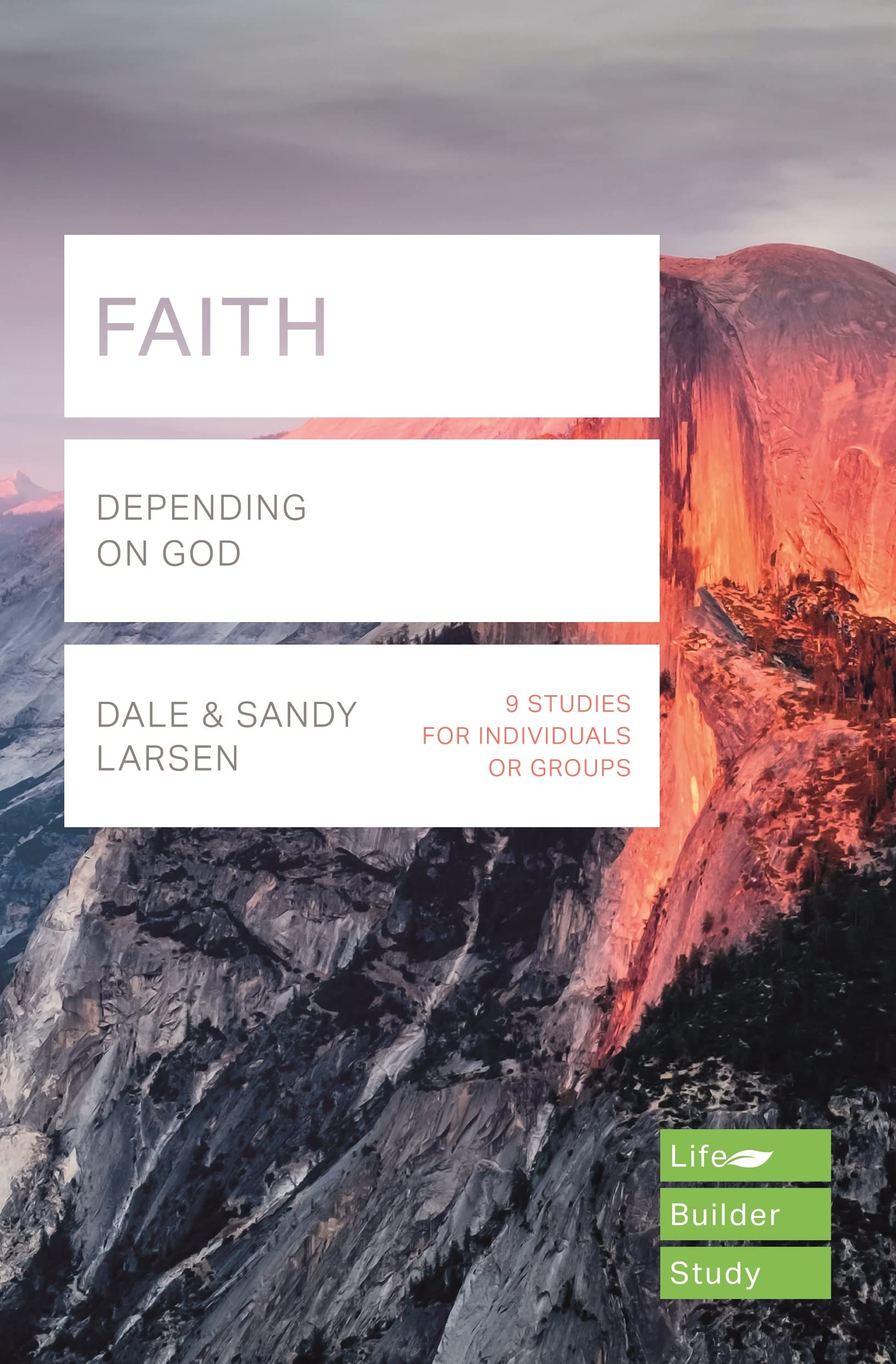 Faith (Lifebuilder Study Guides): Depending on God (Lifebuilder Bible Study Guides, 209) Social Sciences