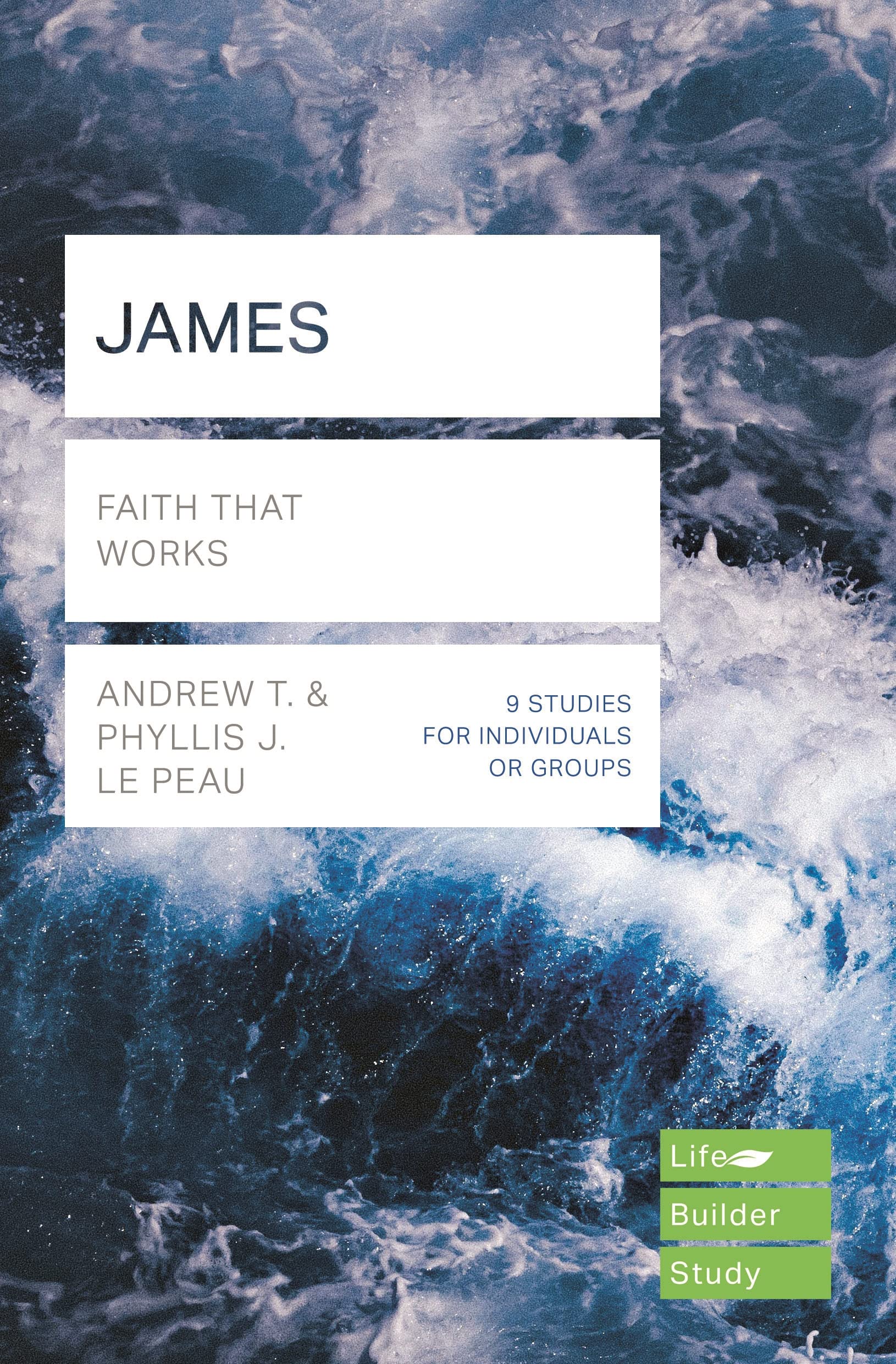 JAMES: FAITH THAT WORKS (Lifebuilder Bible Study Guides, 235) Religion & Esotericism