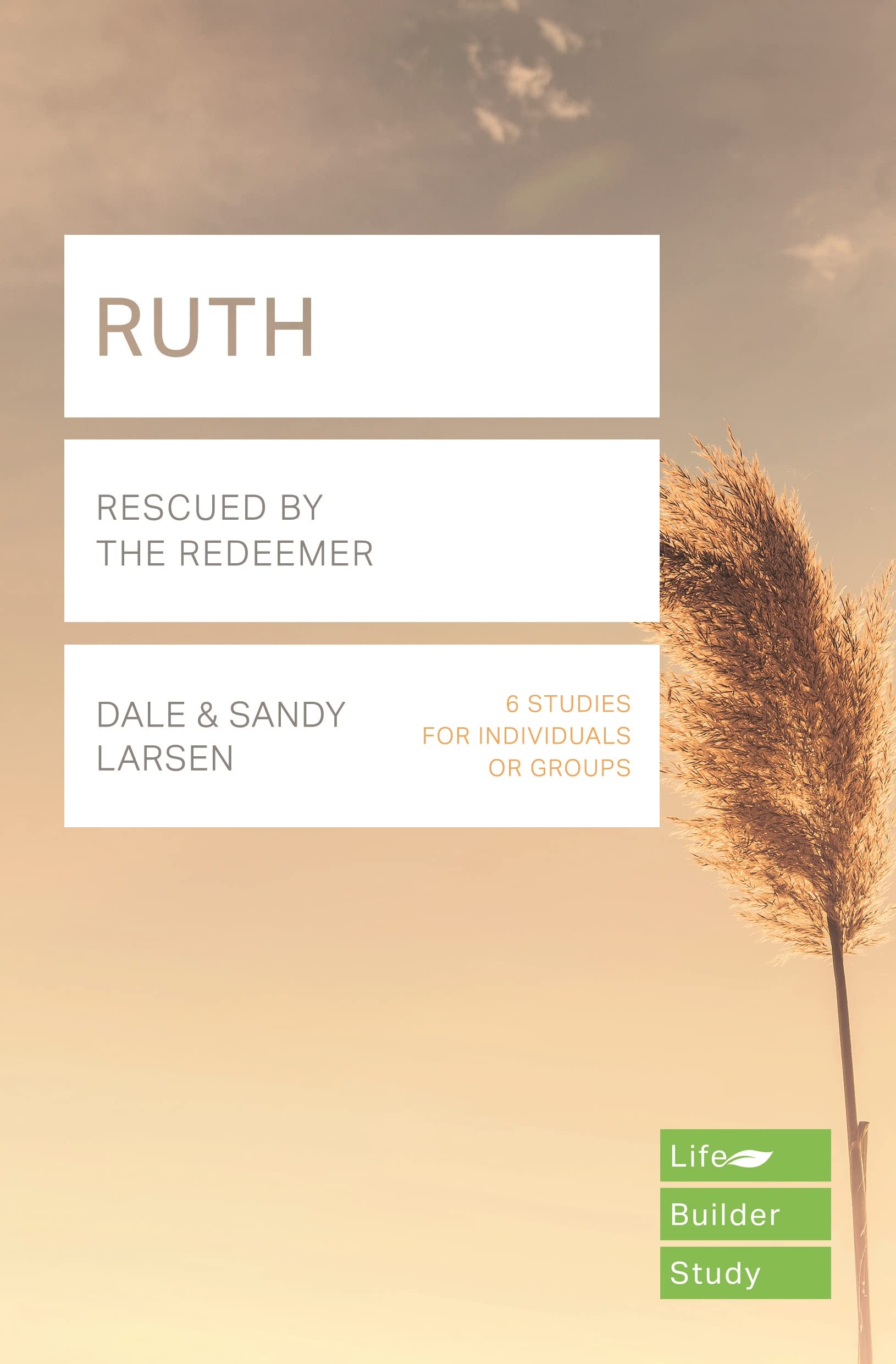 Ruth (Lifebuilder Study Guides): Rescued by the Redeemer (Lifebuilder Bible Study Guides, 168) Religion & Esotericism