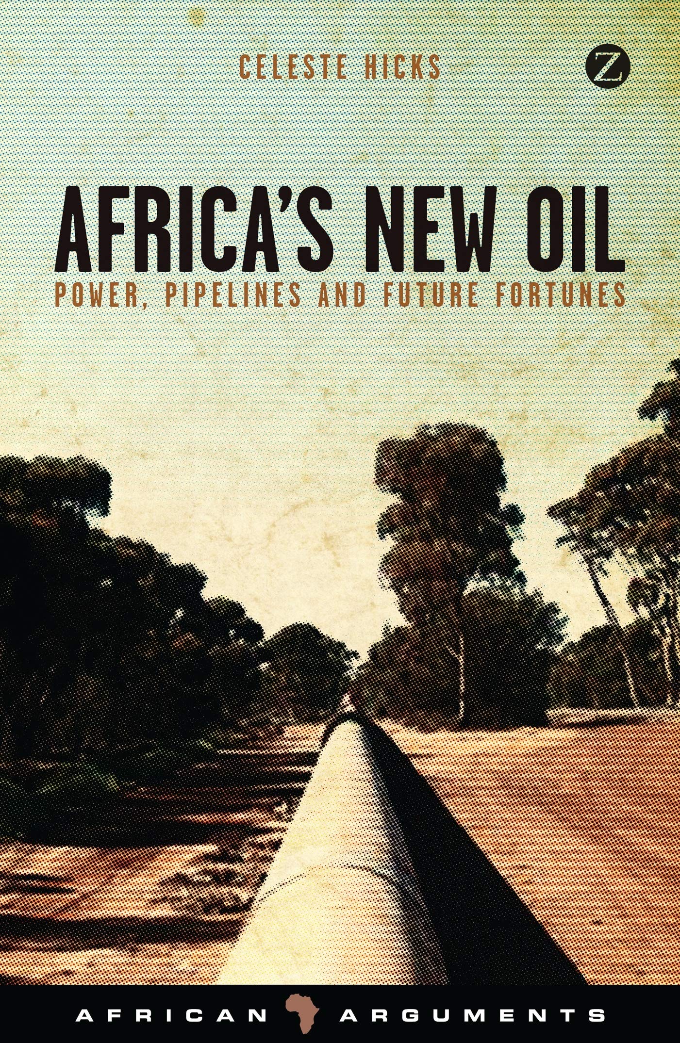 Africa's New Oil: Power, Pipelines and Future Fortunes (African Arguments) Business, Finance & Career
