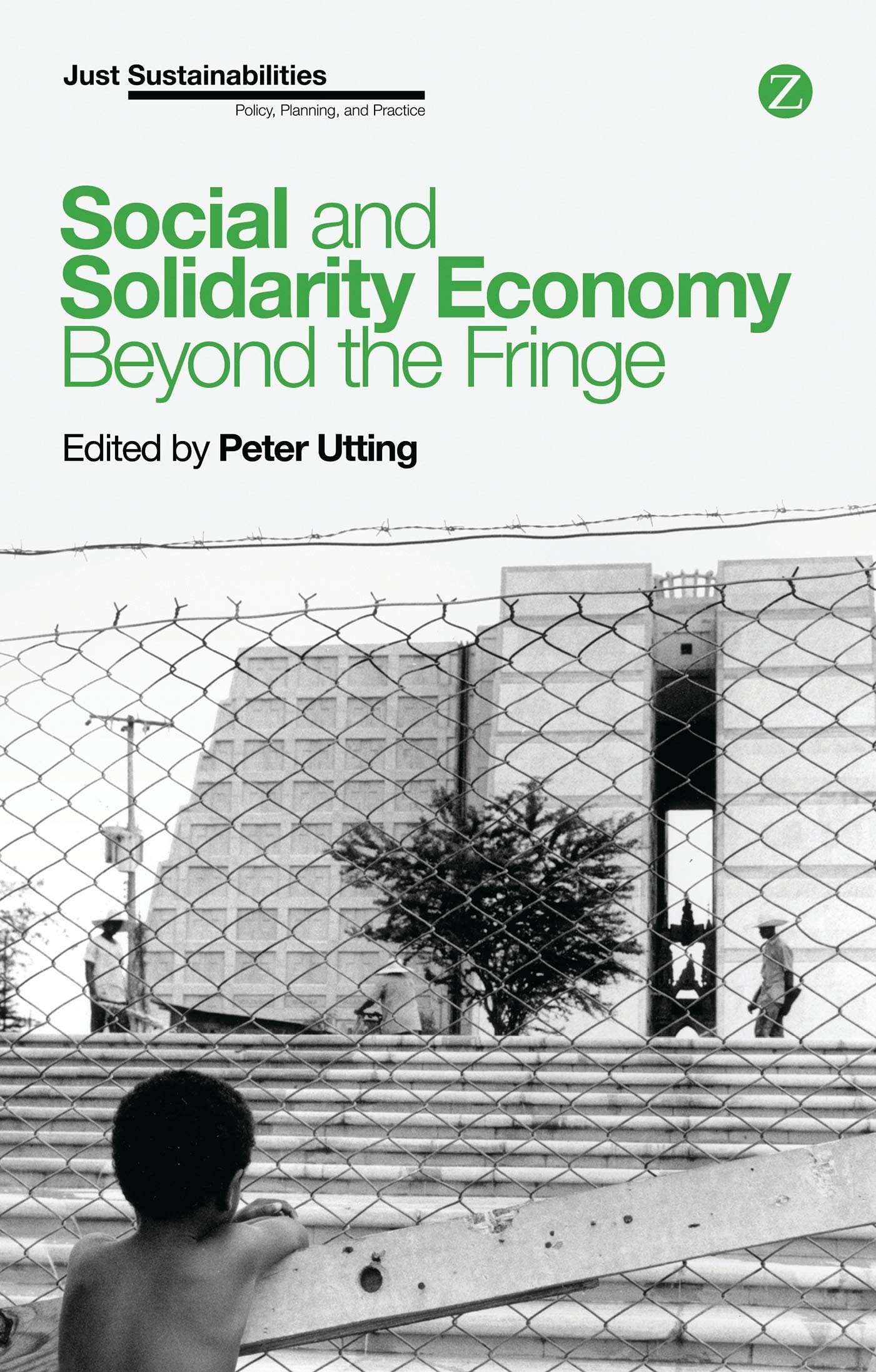 Social and Solidarity Economy: Beyond the Fringe book