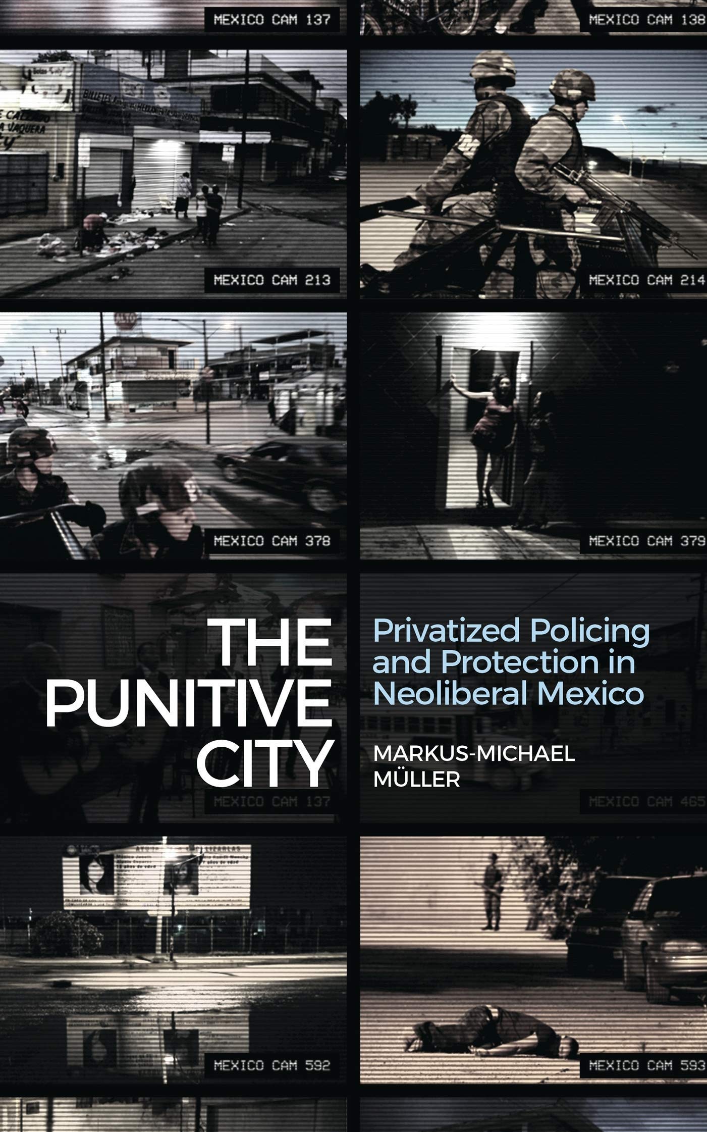 Product Image: The Punitive City