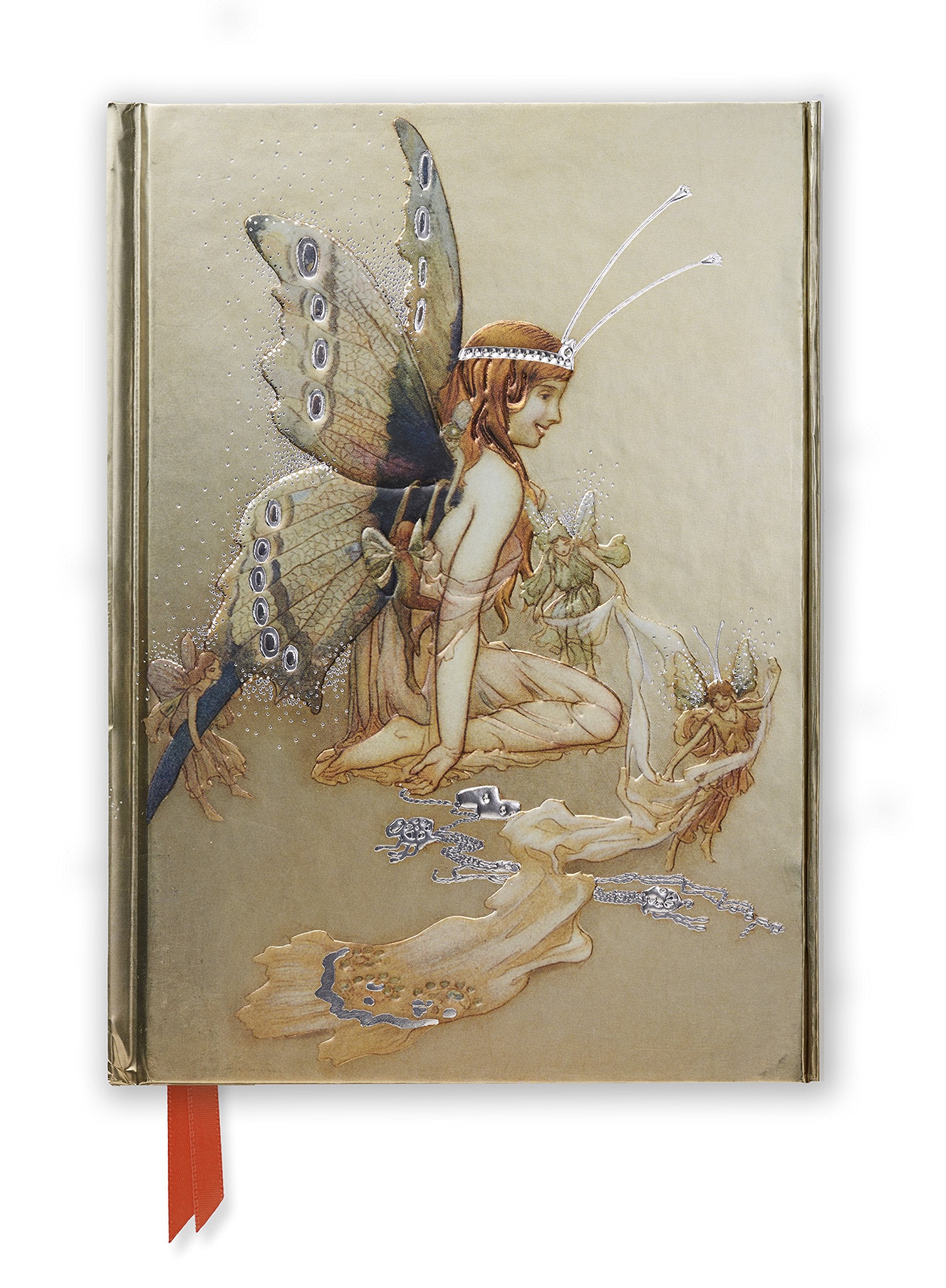 Goble: Pretty Set of Wings (Foiled Journal) (Flame Tree Notebooks, 44, Band 44) Living & Furnishing