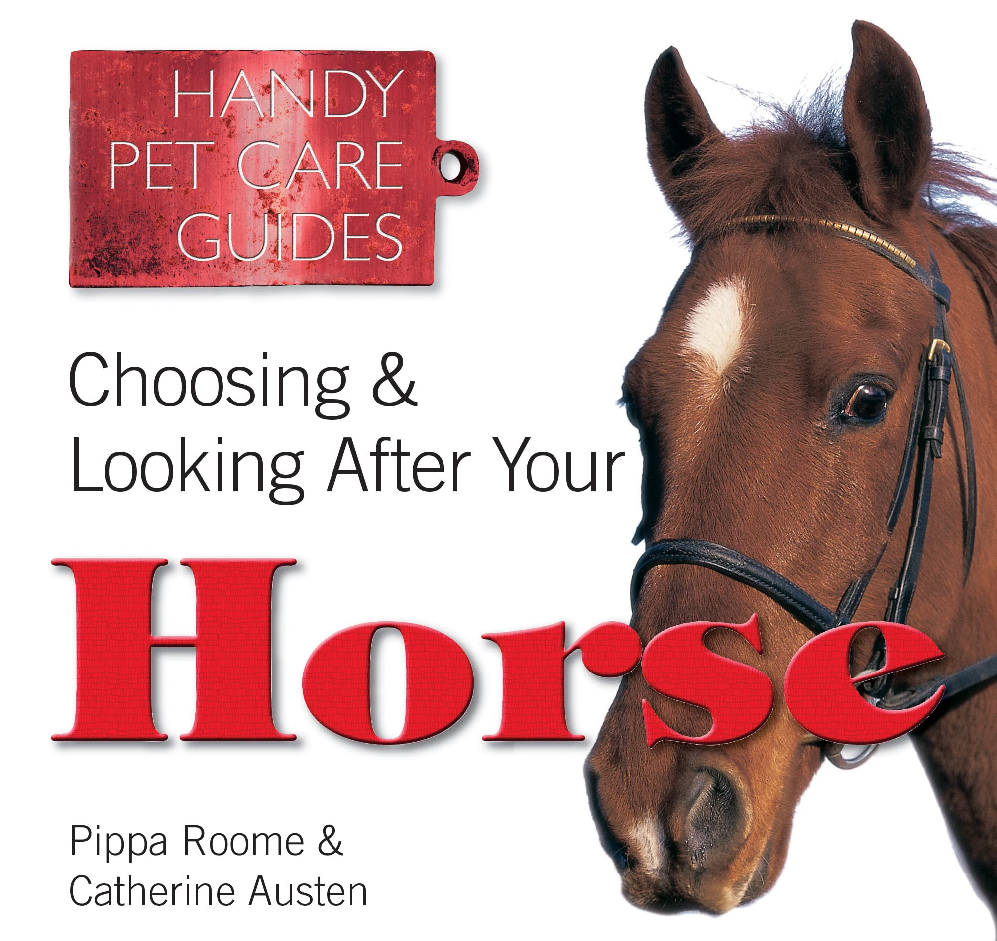 Choosing & Looking After Your Horse (Handy Petcare Guides) Pets