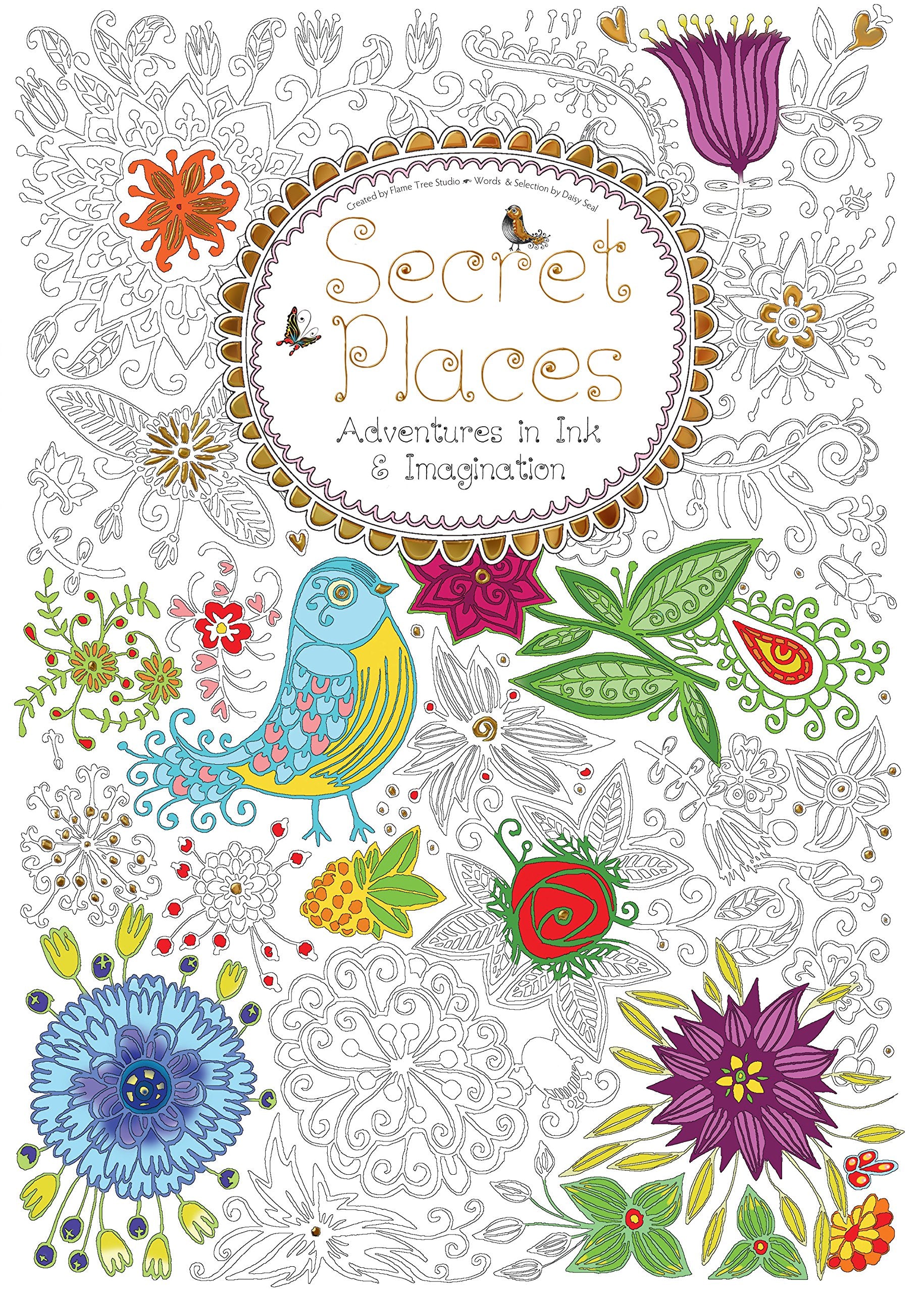 Secret Places (Colouring Book): Adventures in Ink and Imagination: Adventures in Ink & Imagination (Colouring Books) Film, Art & Culture