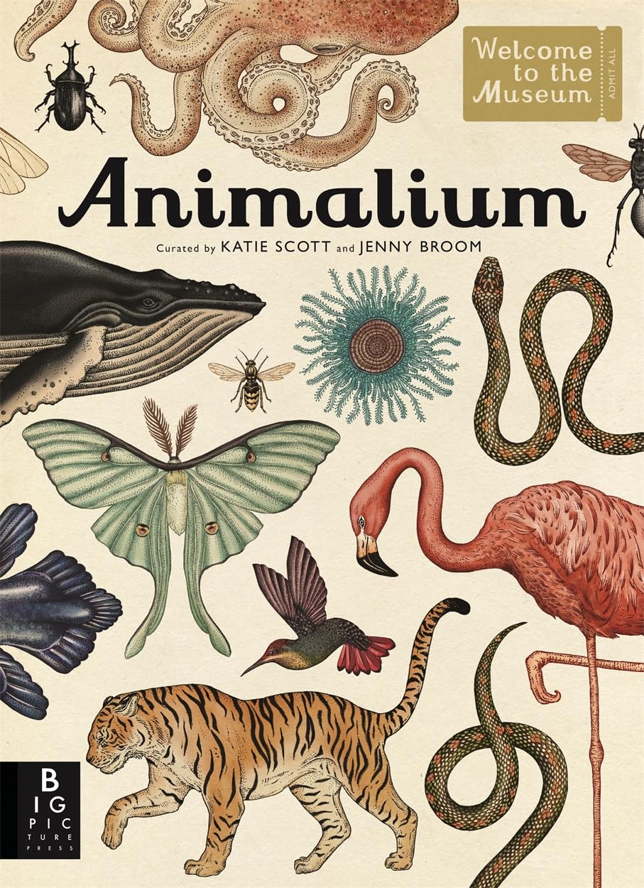 Animalium: Welcome to the Museum Novels & Short Stories