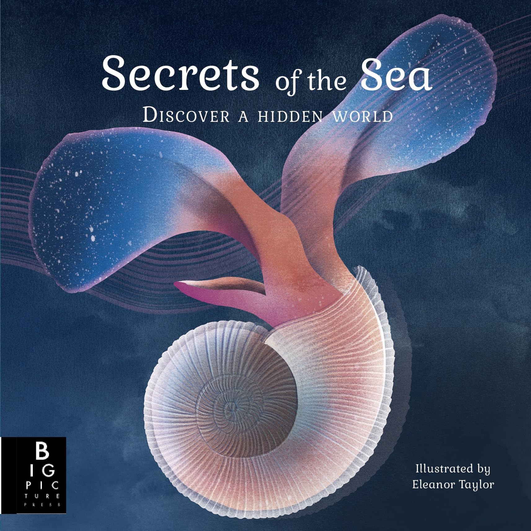 Product Image: Secrets of the Sea