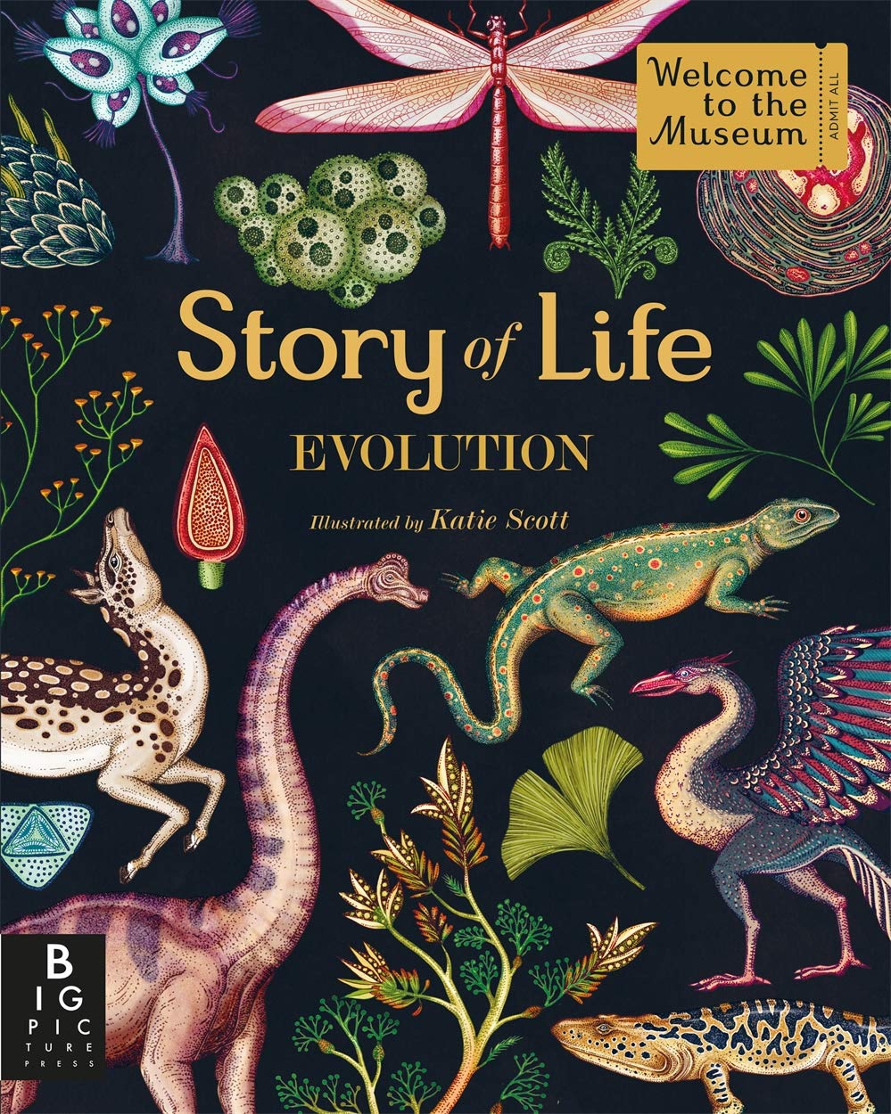 Story of Life: Evolution: by illustrator Katie Scott (Welcome To The Museum) Natural Sciences