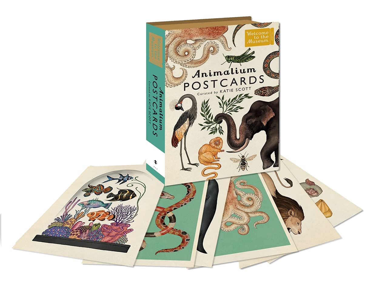 Animalium Postcards: (Welcome To The Museum) Lifestyle
