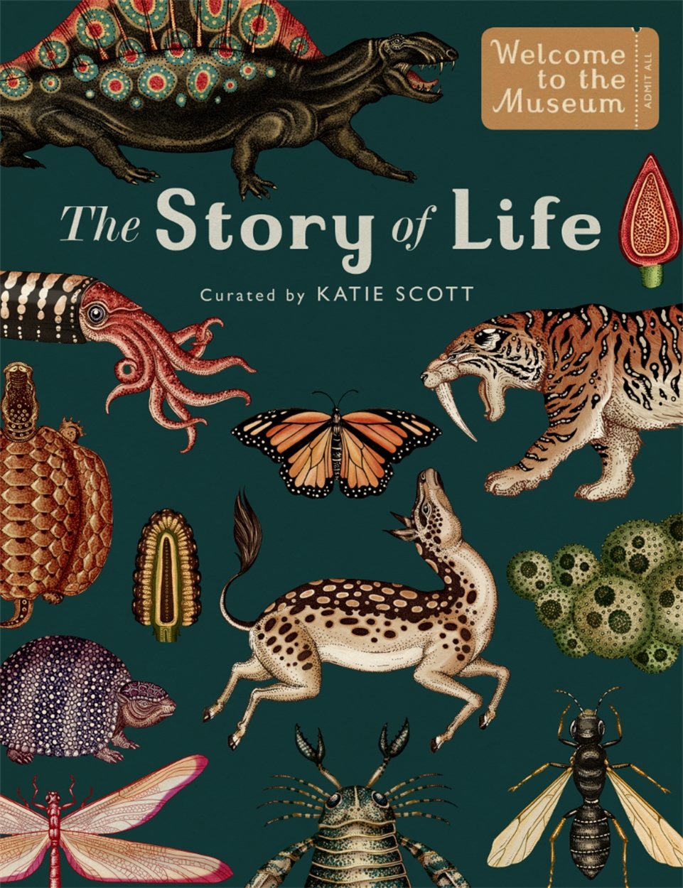 The Story of Life: Evolution (Extended Edition) Living & Furnishing