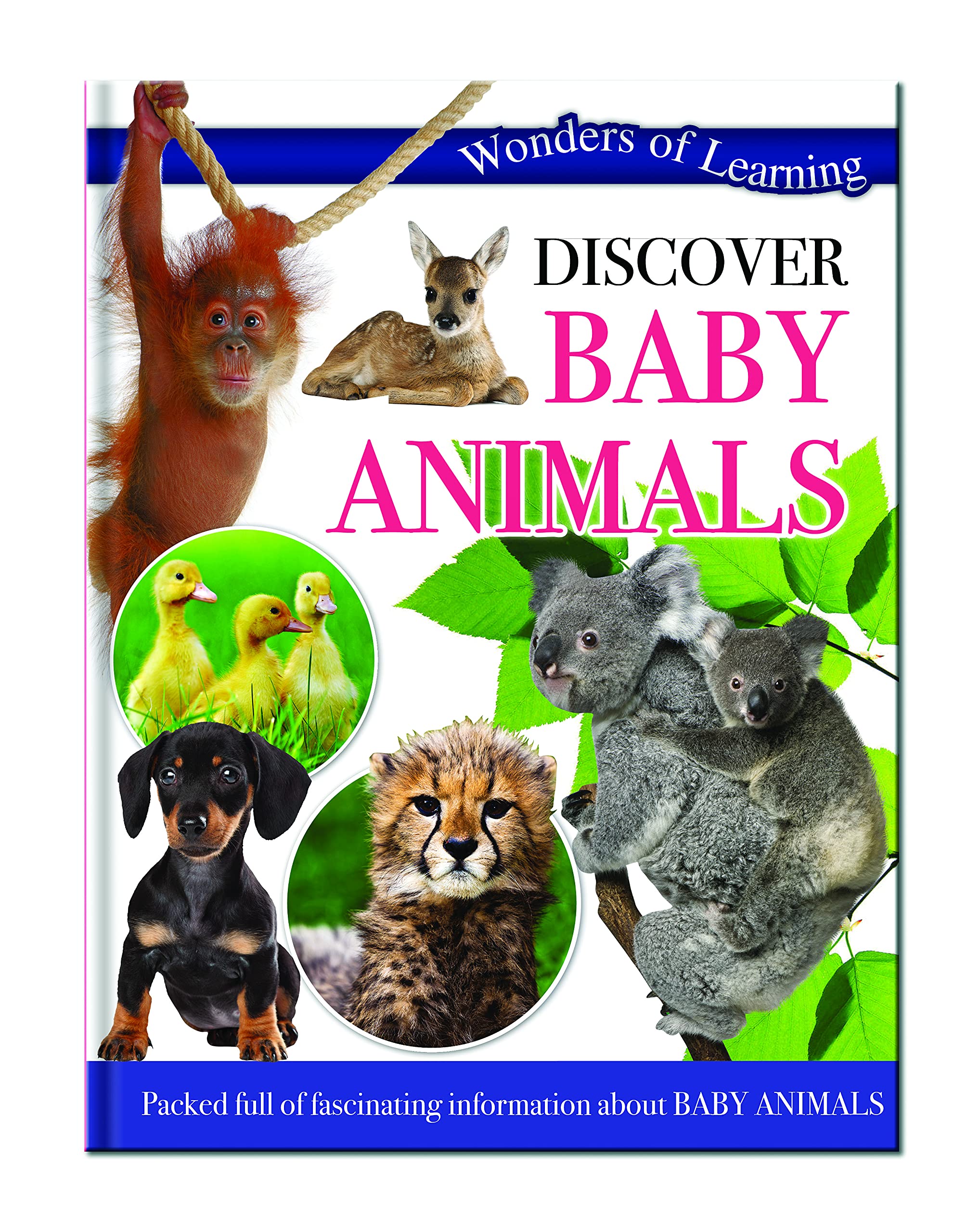 Wonders of Learning: Discover Baby Animals: Wonders Of Learning Omnibus (Wonders Of Learning Book Series) Natural Sciences