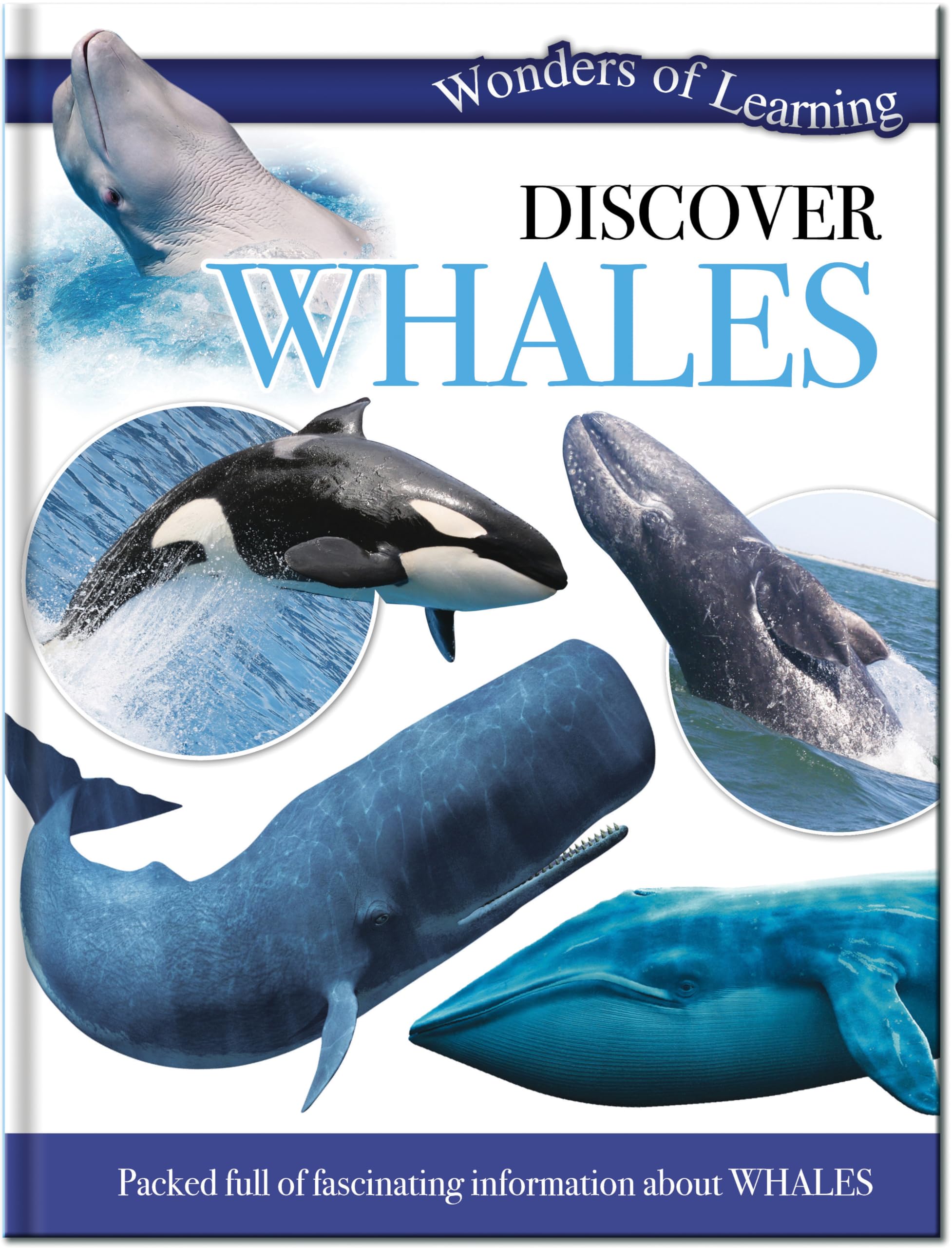 Wonders of Learning Discover Whales: Wonders Of Learning Omnibus (Wonders of Learning Padded Foil Book) Natural Sciences