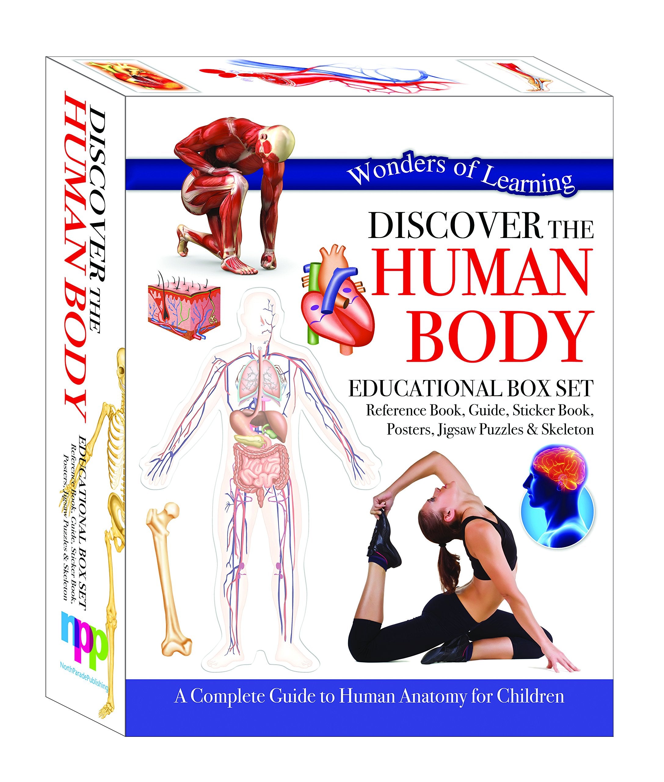 Discover the Human Body: Educational Box Set (Wonders of Learning Educational Box Set) Non-fiction