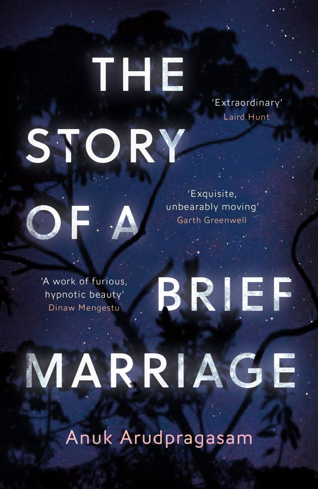The Story of a Brief Marriage Contemporary literature
