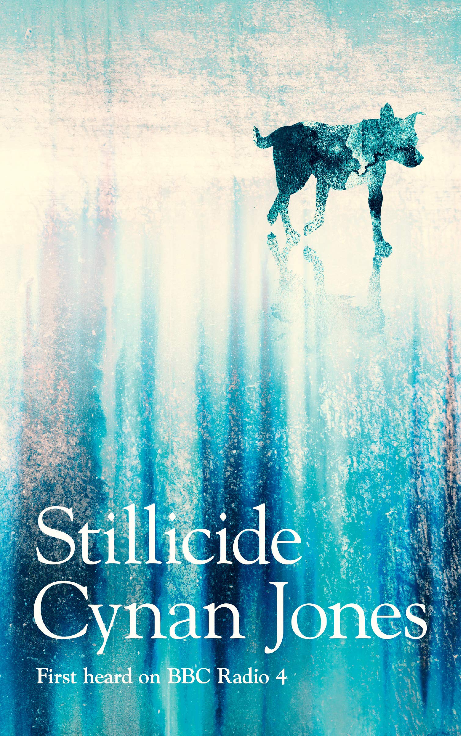 Stillicide: Cynan Jones Contemporary literature