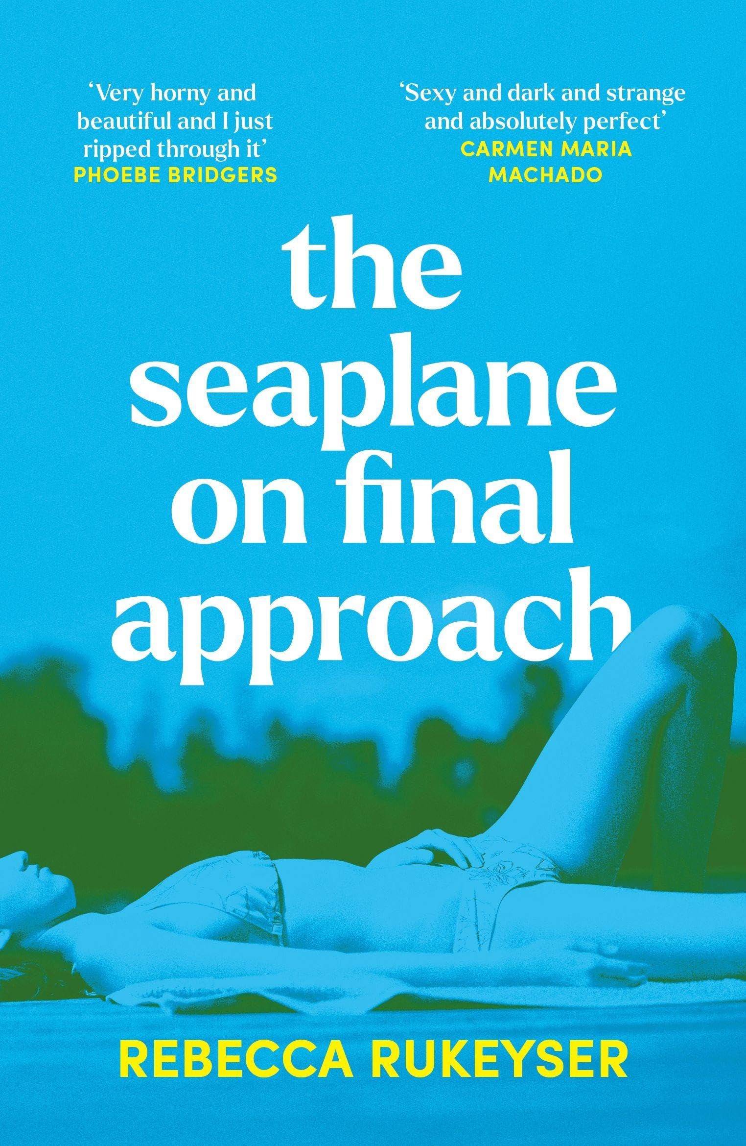 Product Image: The Seaplane on Final Approach