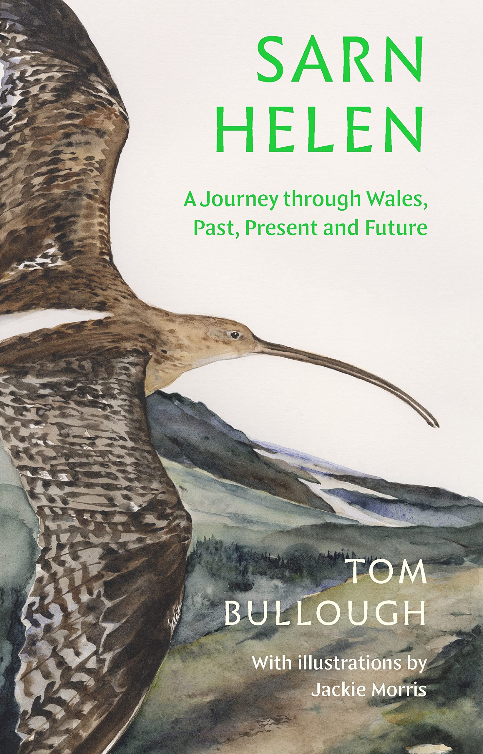 Sarn Helen Contemporary literature Books