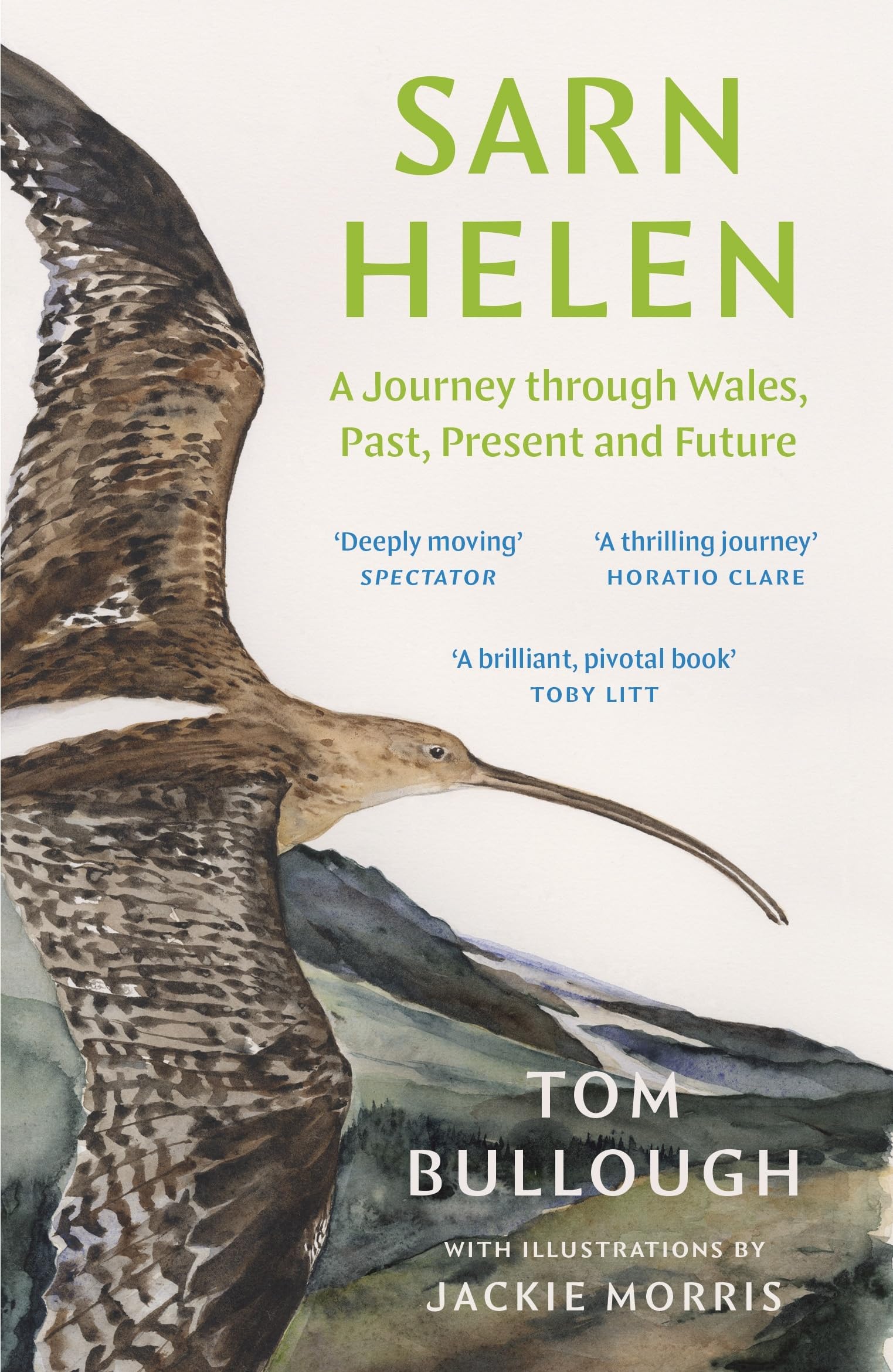 Sarn Helen: A Journey Through Wales, Past, Present and Future Contemporary literature
