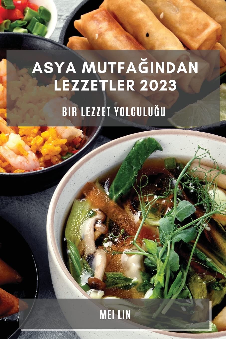 Asya Mutfağından Lezzetler 2023: Bir Lezzet Yolculuğu book