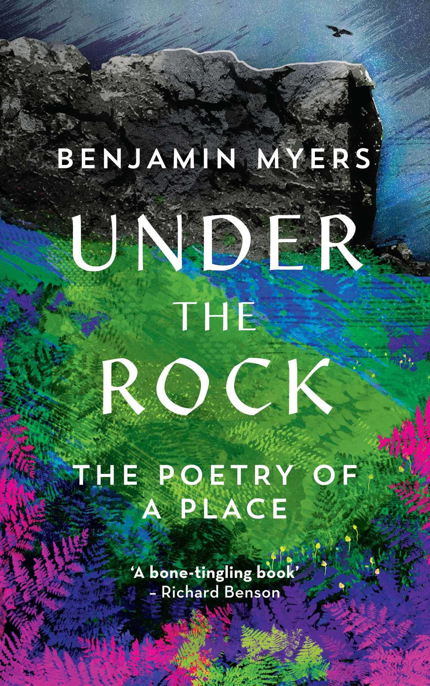 Under the Rock: The Poetry of a Place Mathematics