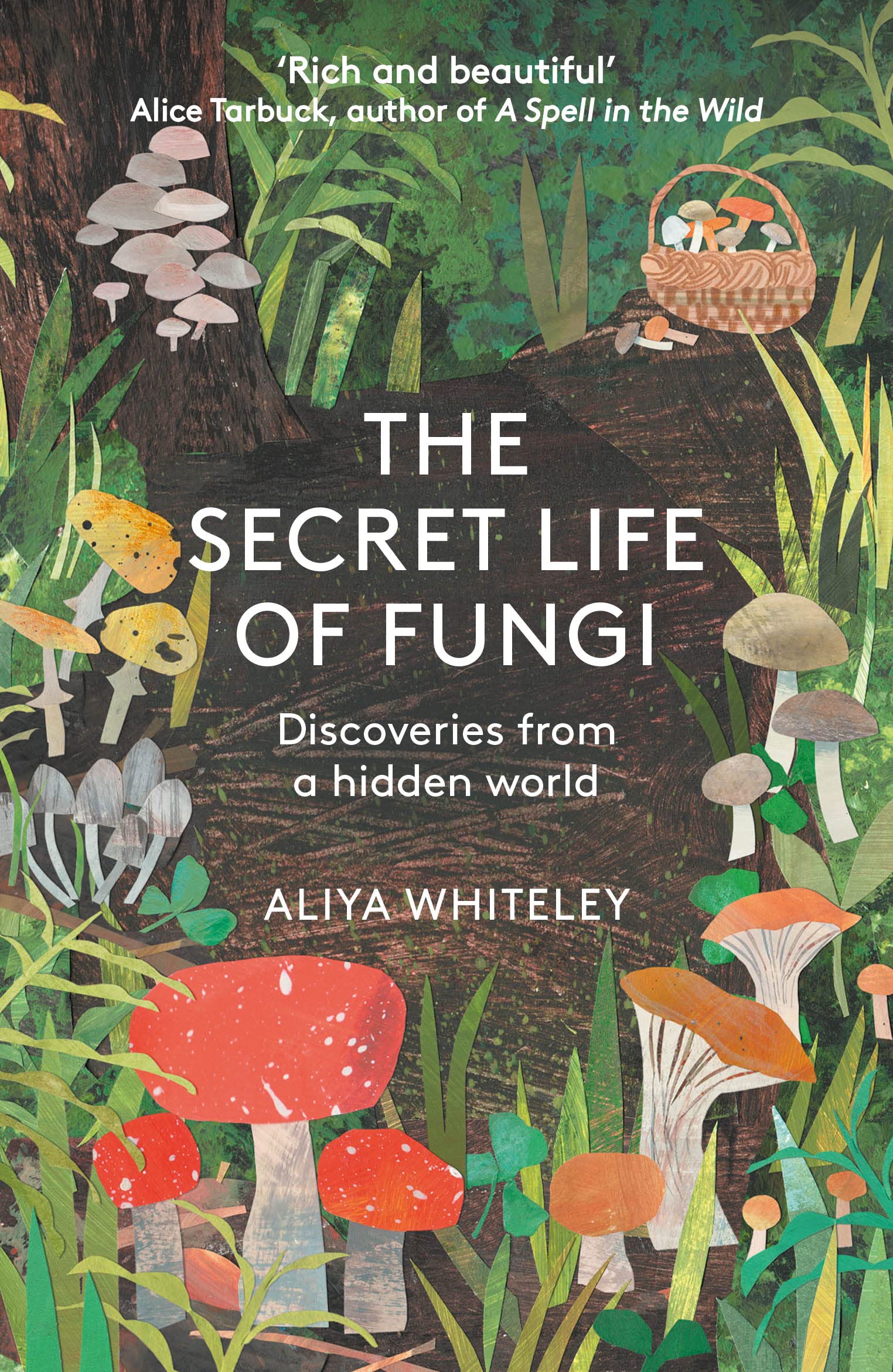 The Secret Life of Fungi Mathematics