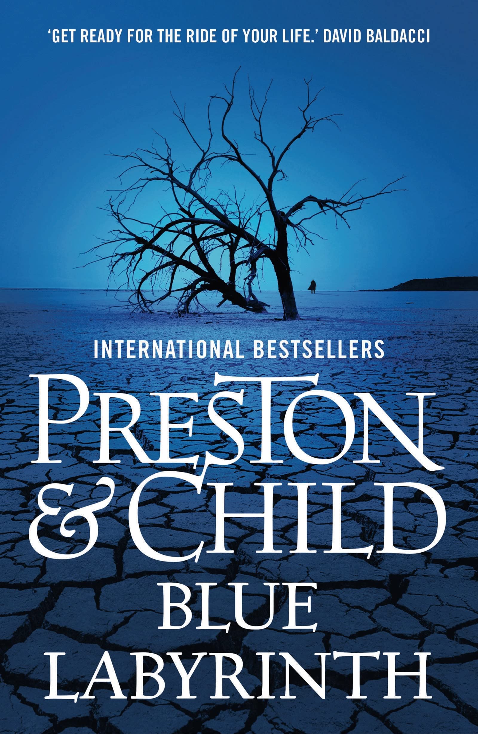 Product Image: Preston, D: Blue Labyrinth