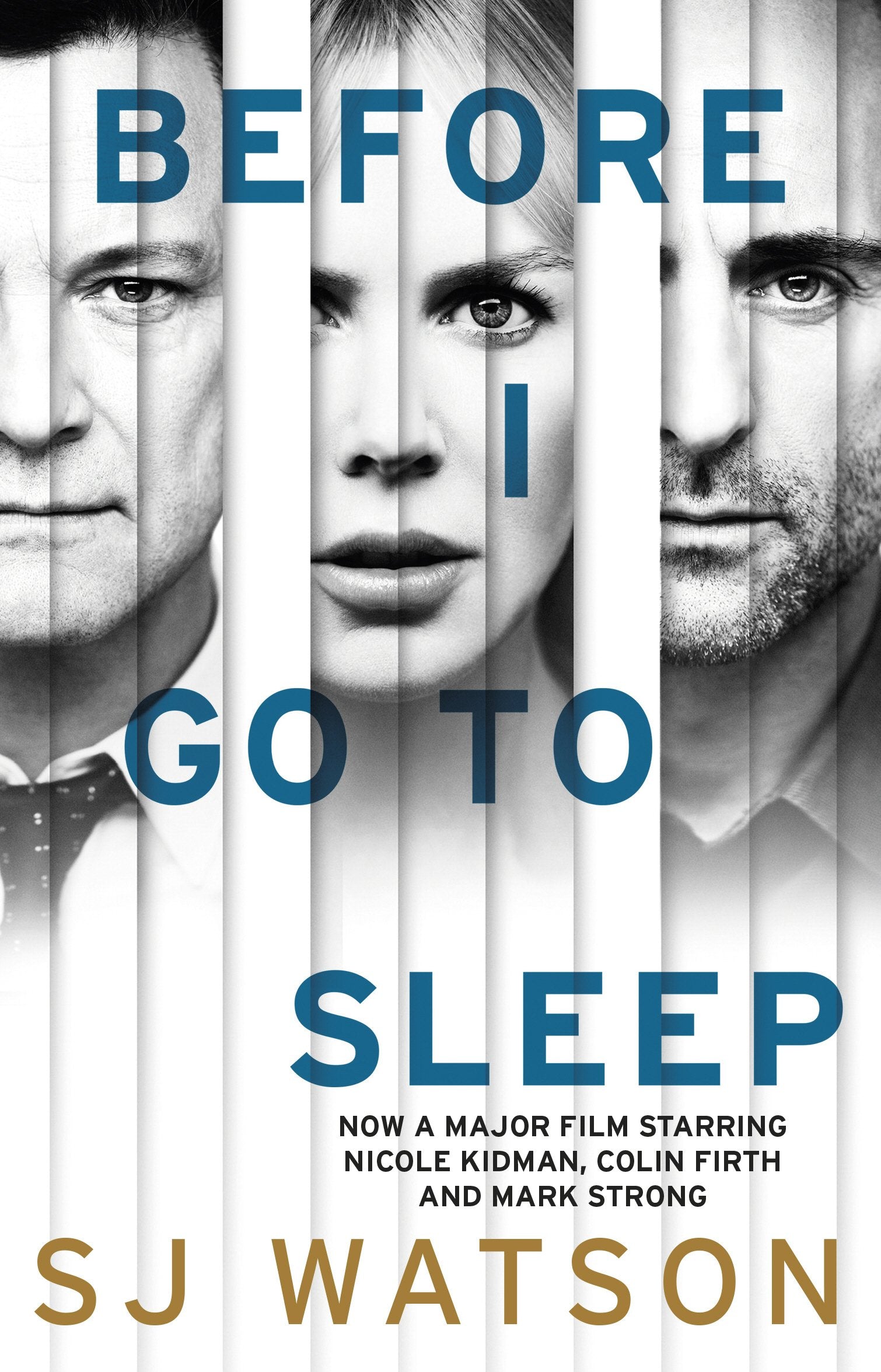 Before I Go To Sleep Contemporary literature Books