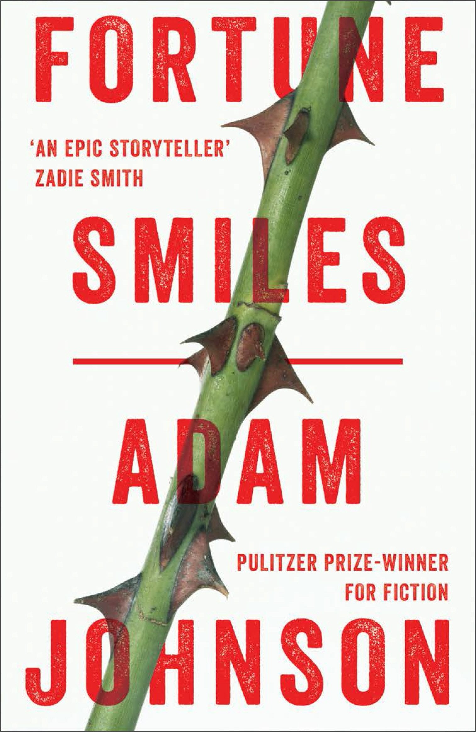 Fortune Smiles: Stories Essays & Short Stories