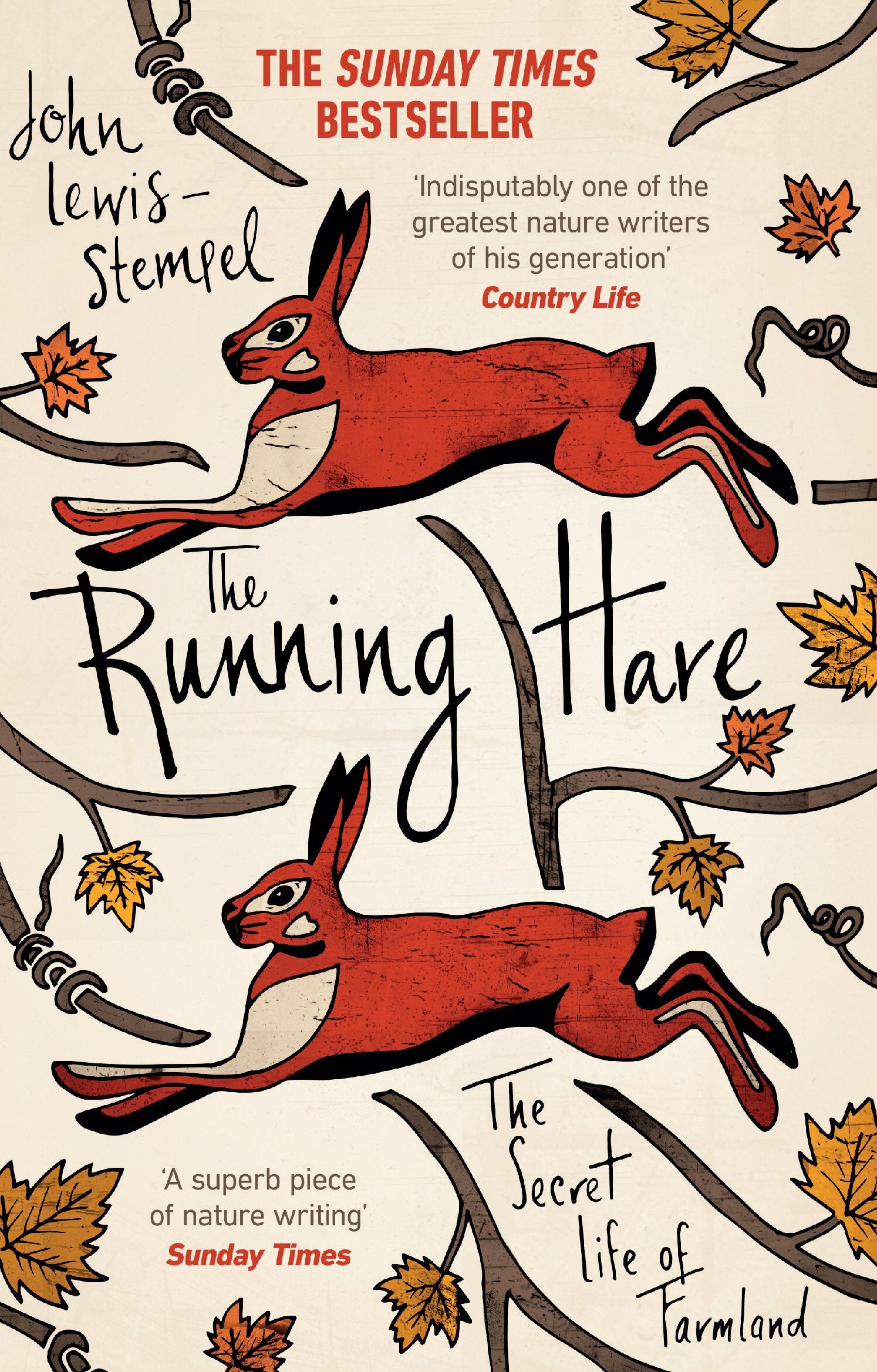The Running Hare Mathematics